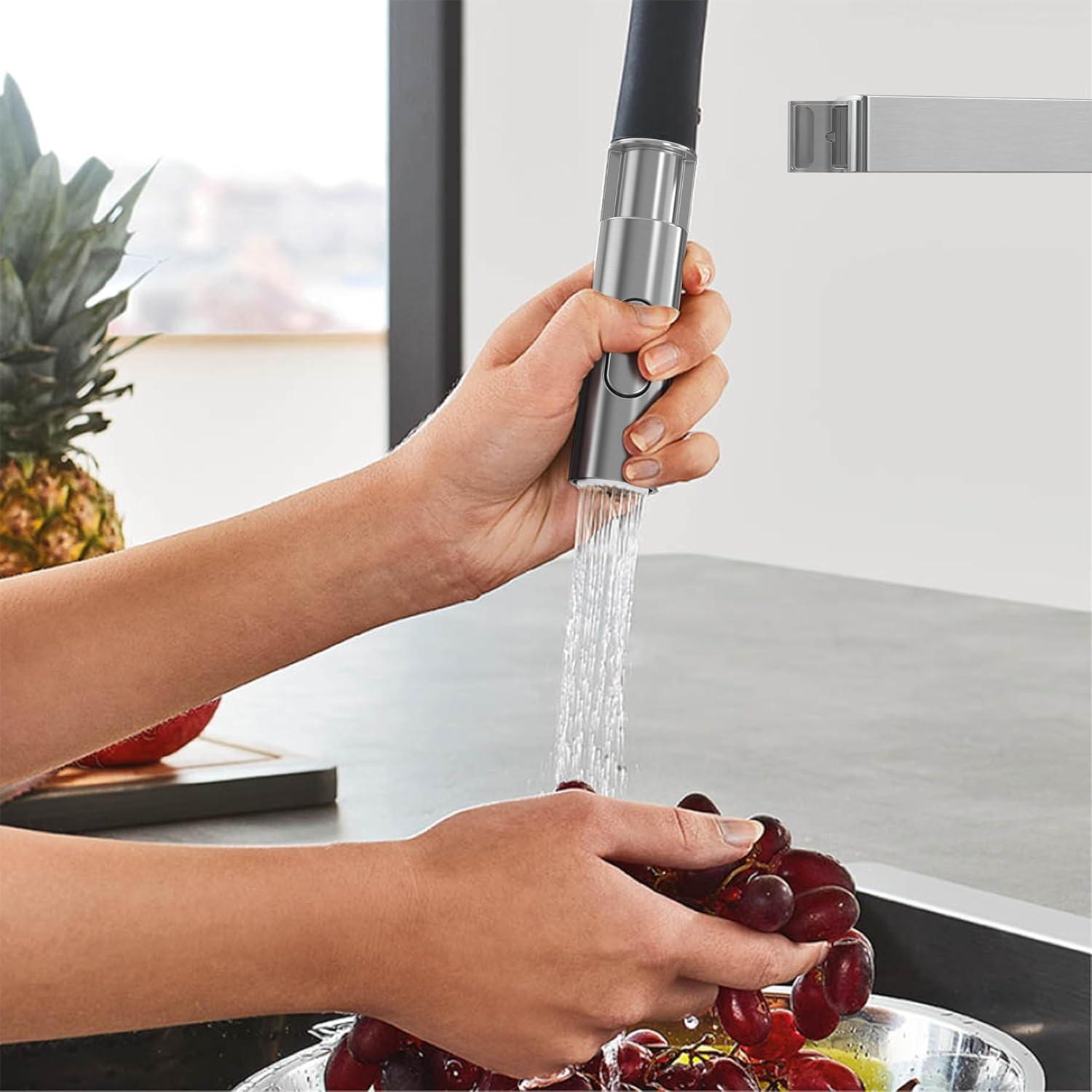 Essence New Single Handle Kitchen Faucet with SilkMove® and with Accessories