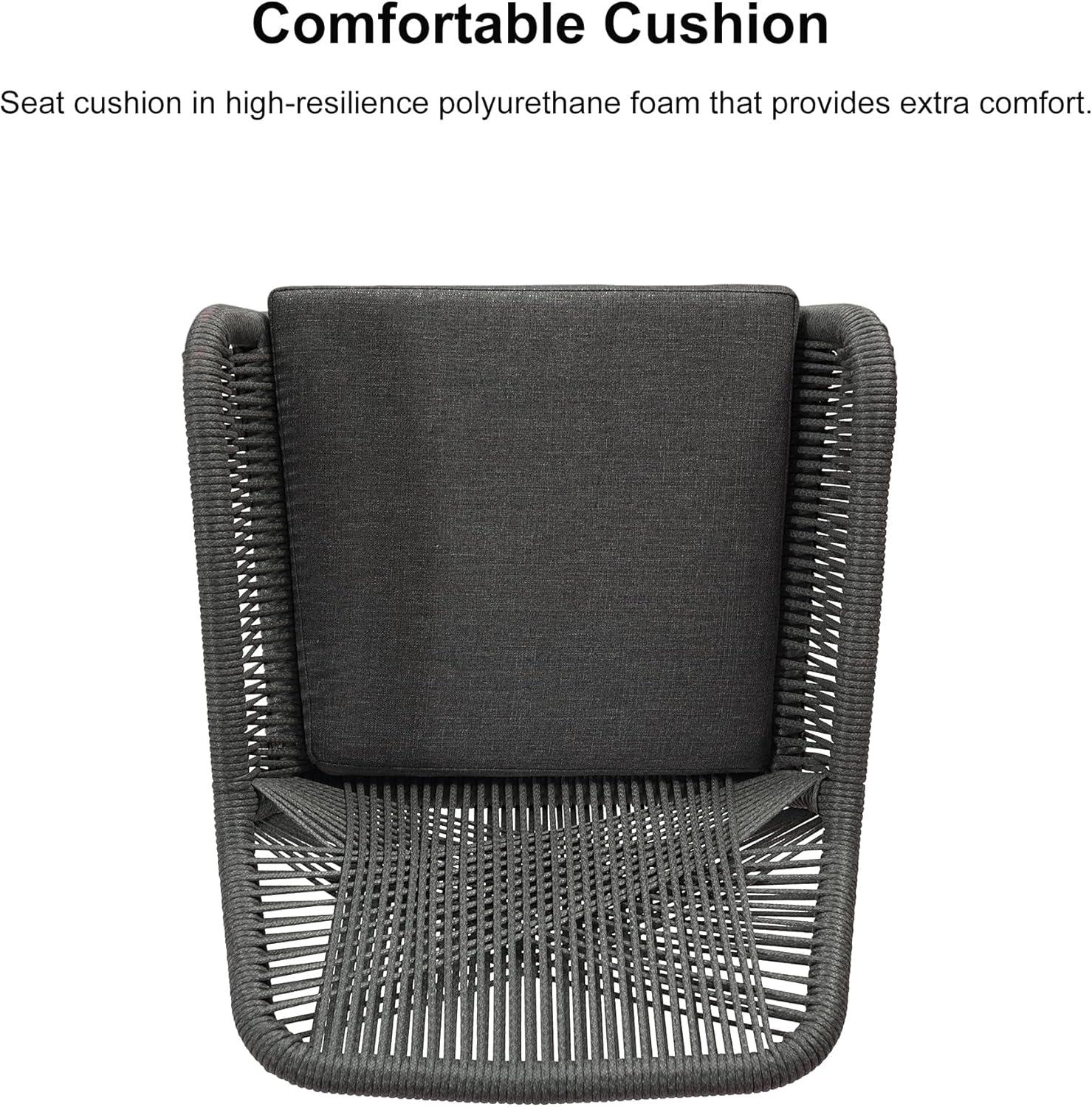 PURPLE LEAF Outdoor Wicker 29" Bar Stools Set of 2, Boho Patio Bar Height Chair with Cushion and Back for Outdoor and Indoor, Garden, Patio, Smoke Grey