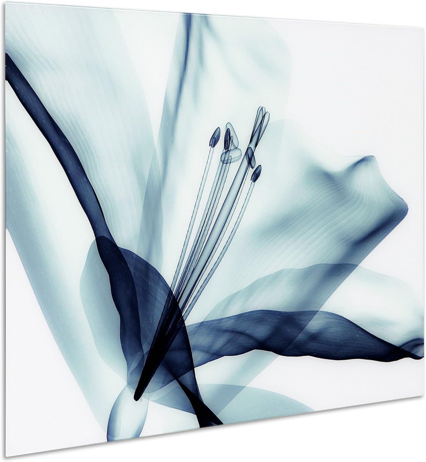 Empire Art Direct Amaryllis Frameless Free Floating Tempered Glass Panel Graphic Wall Art, 32" x 48" x 0.2", Ready to Hang