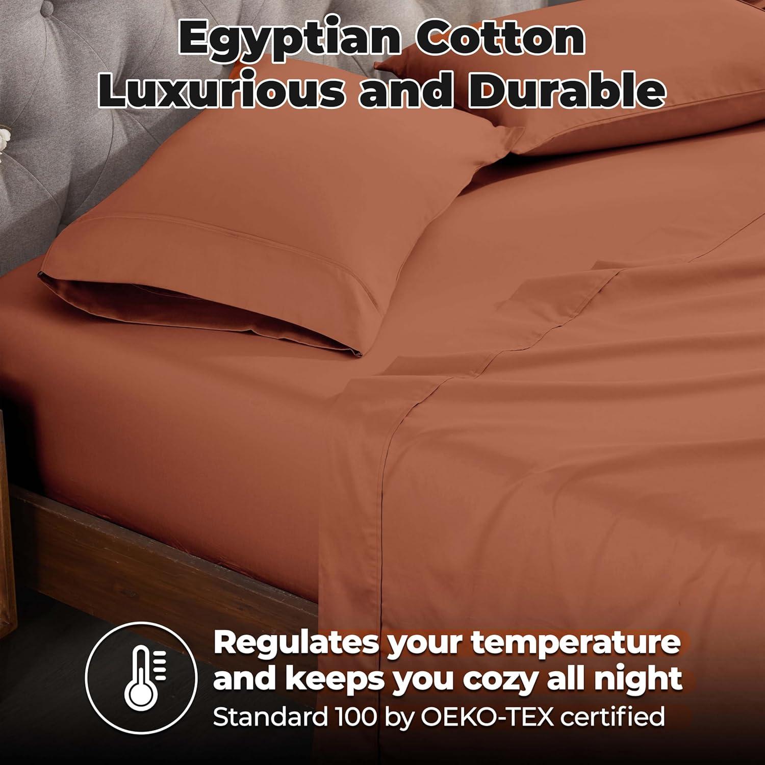 Superior Egyptian Cotton 300 Thread Count Solid Pillowcases (Set of 2)
