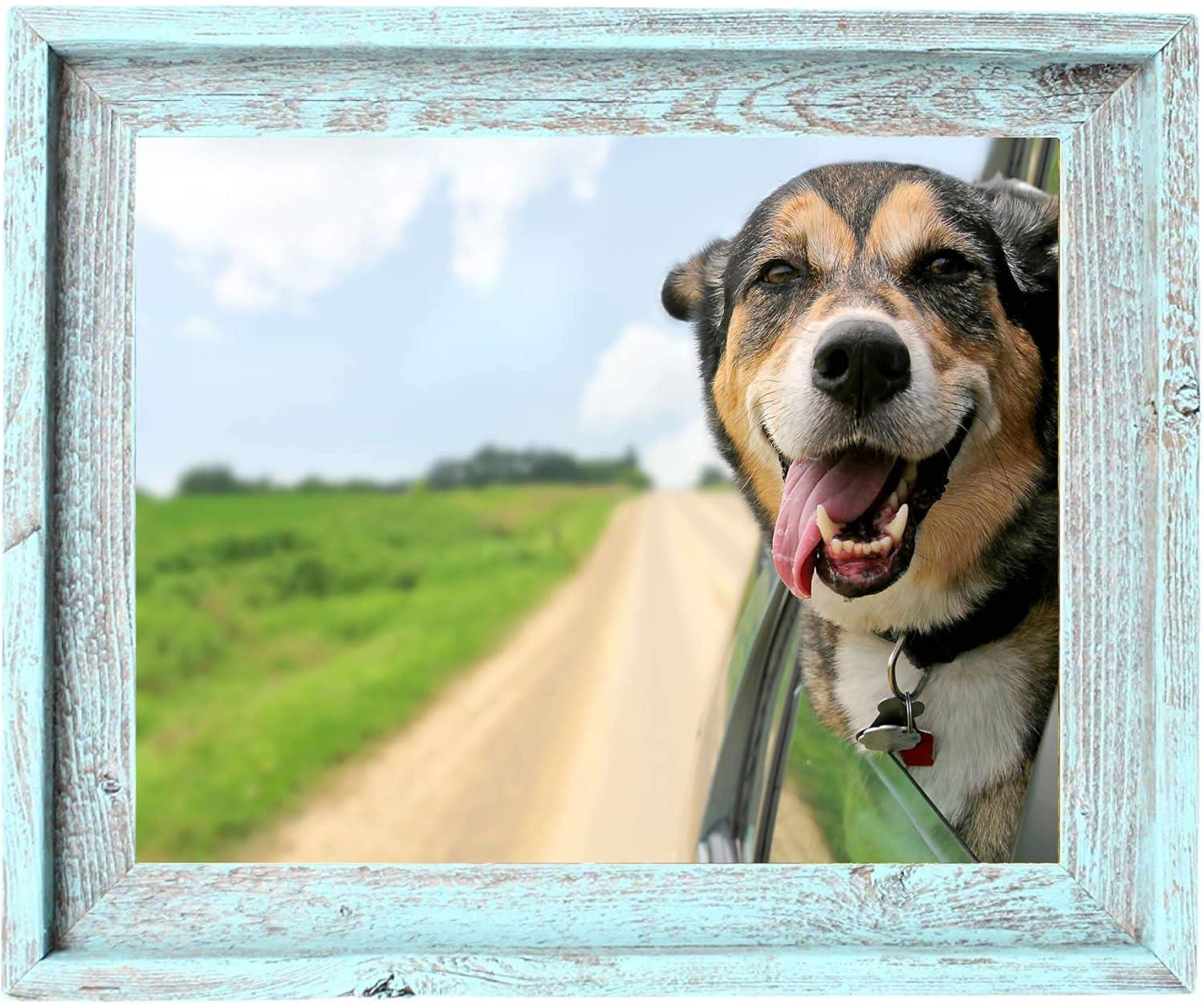 Rustic Farmhouse 11 in. x 14 in. Robins Egg Blue Reclaimed Wood Picture Frame (1.5 in. Molding)