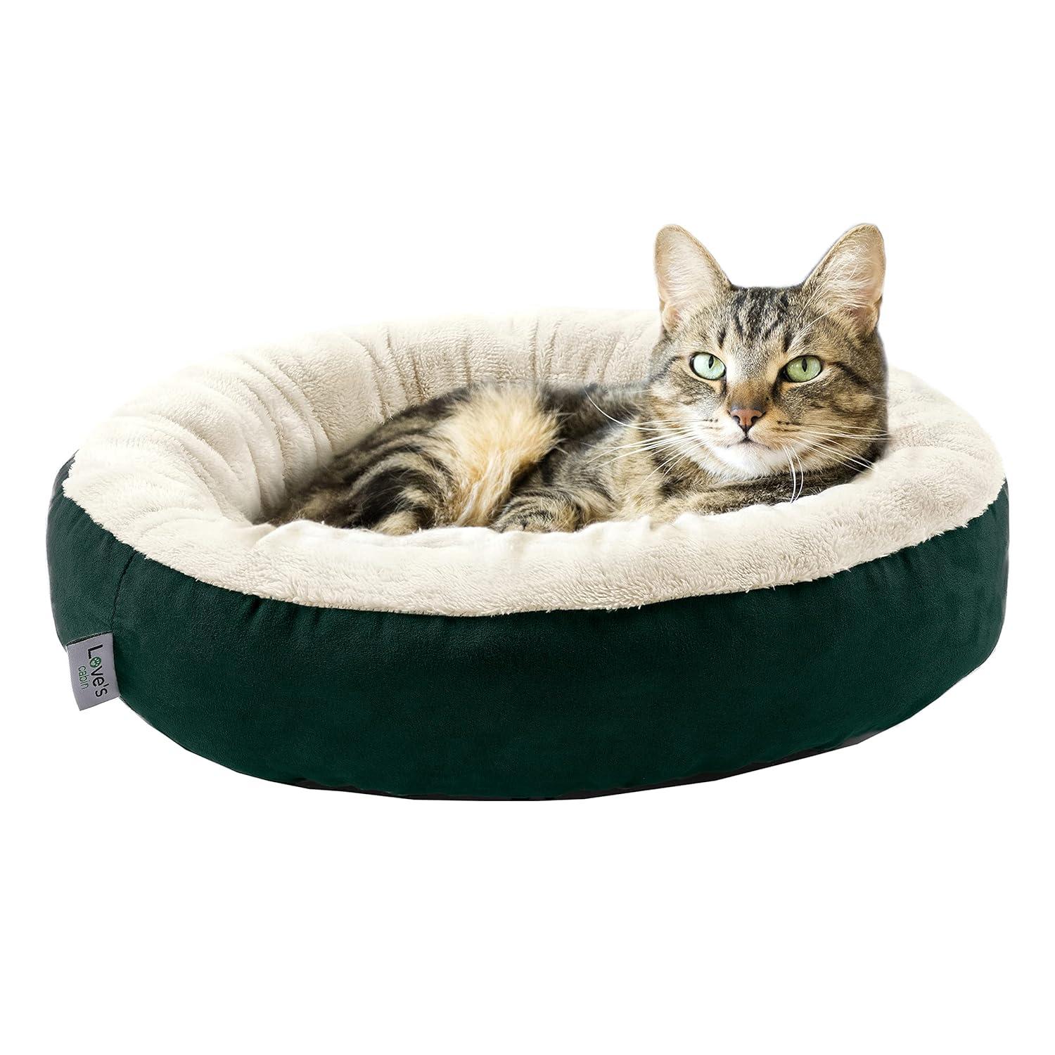 Archie & Oscar™ Round Donut Cat And Dog Cushion Bed, 20In Pet Bed For Cats Or Small Dogs, Anti-Slip & Water-Resistant Bottom, Super Soft Durable Fabric Pet Beds, Washable Luxury Cat & Dog Bed
