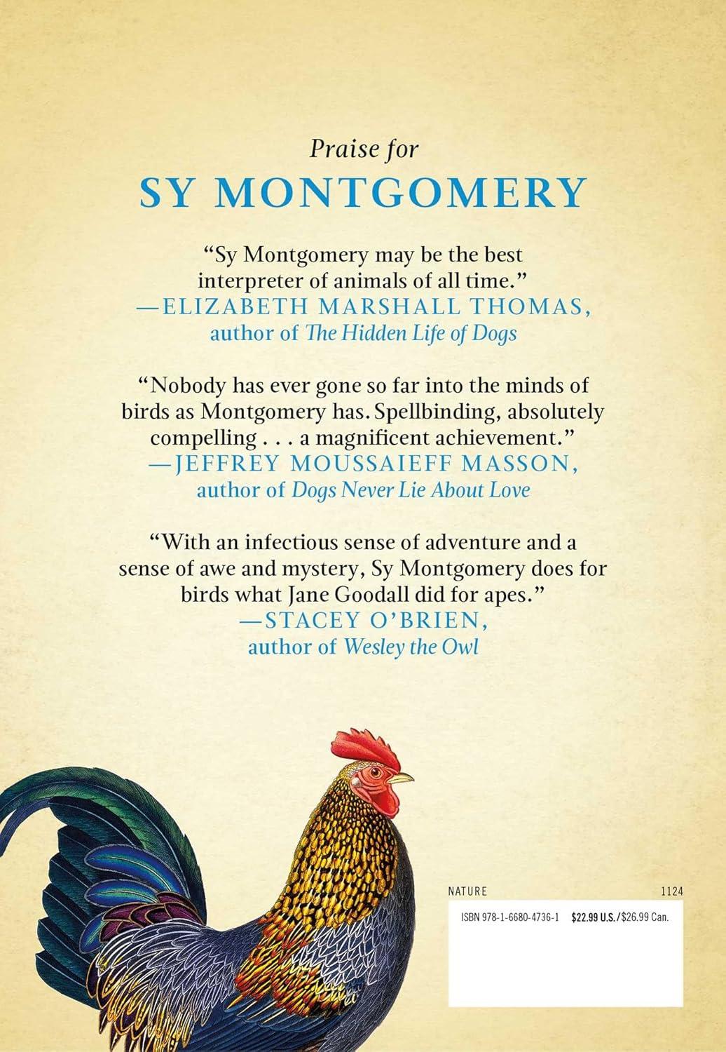 What the Chicken Knows - by Sy Montgomery (Hardcover)