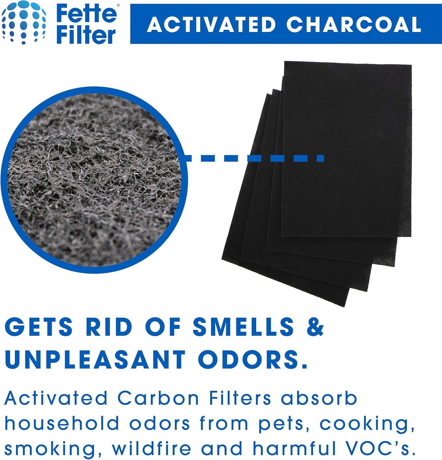 Fette Filter - 115115 Premium True HEPA H13 Filter Compatible with Winix Filter A 115115 Size 21 Plasma Wave Air Purifier AM90 P300 5300 5500 5300-2 6300-2 6300 C909 9800 C535 - Pack of 2 + 8