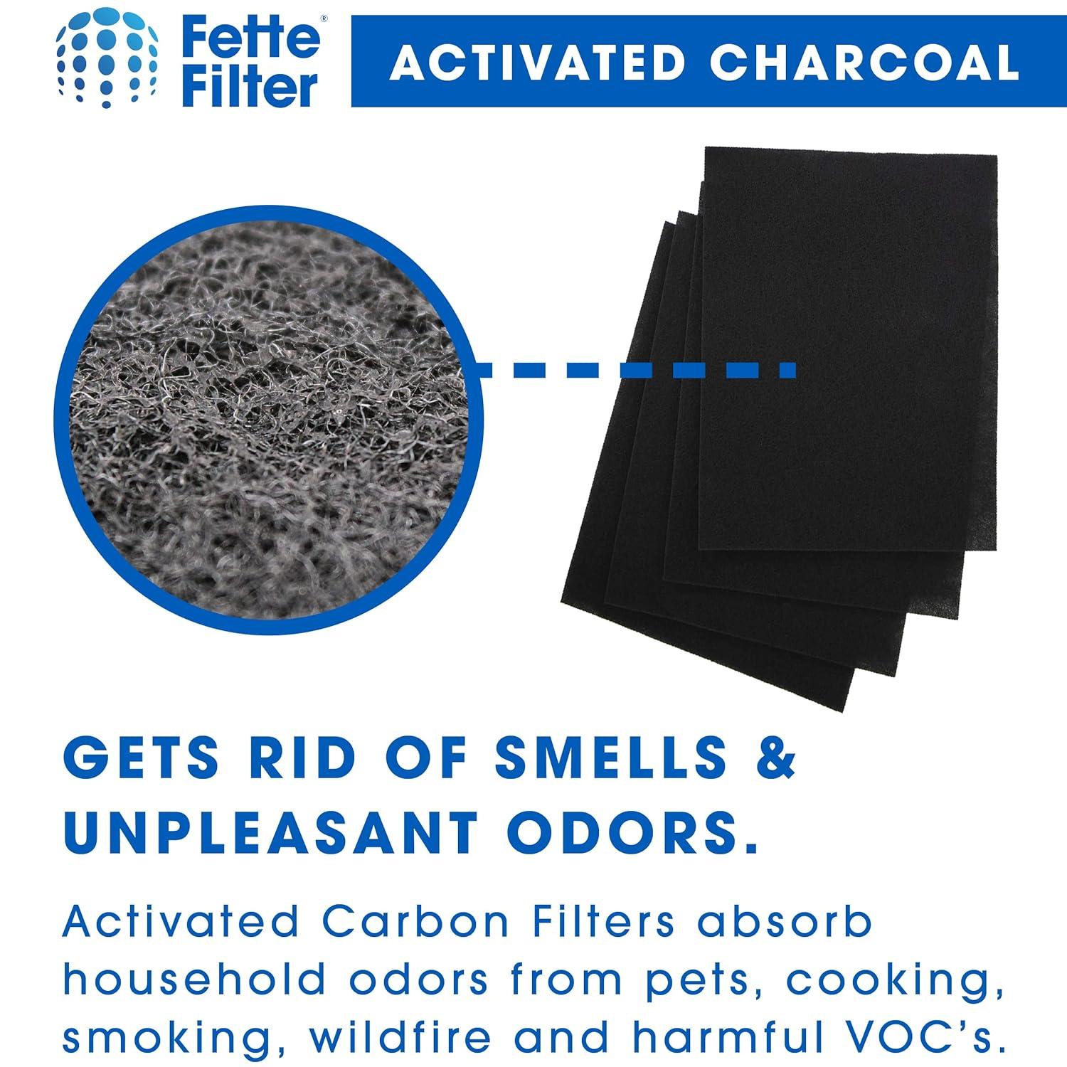 Fette Filter - 115115 Premium True HEPA H13 Filter Compatible with Winix Filter A 115115 Size 21 Plasma Wave Air Purifier AM90 P300 5300 5500 5300-2 6300-2 6300 C909 9800 C535 - Pack of 2 + 8