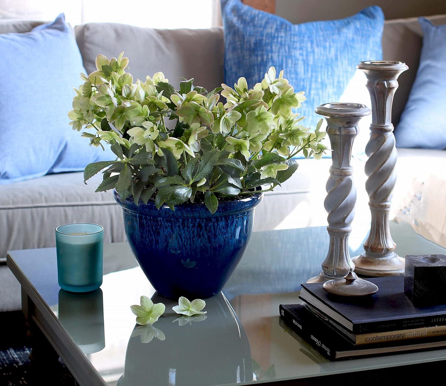 The HC Companies Pizzazz Decorative Round Flower Pots w/Ceramic Look - UV-Resistant Decorative Pot for Outdoor & Indoor Plant Pots - Modern Planter for Flower, Herbs (20” Admiral Blue, Pack of 1)