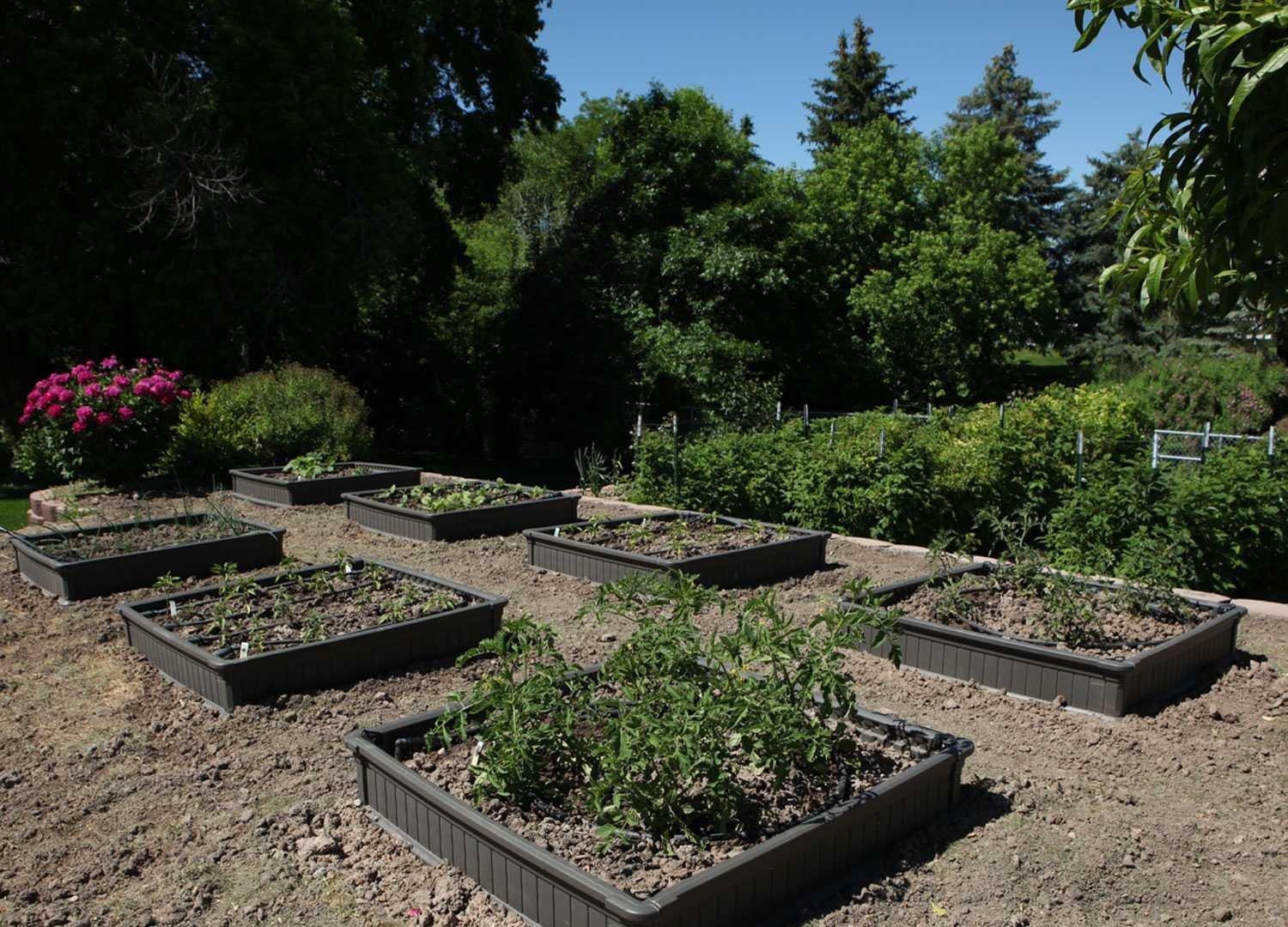 Lifetime Raised Garden Bed