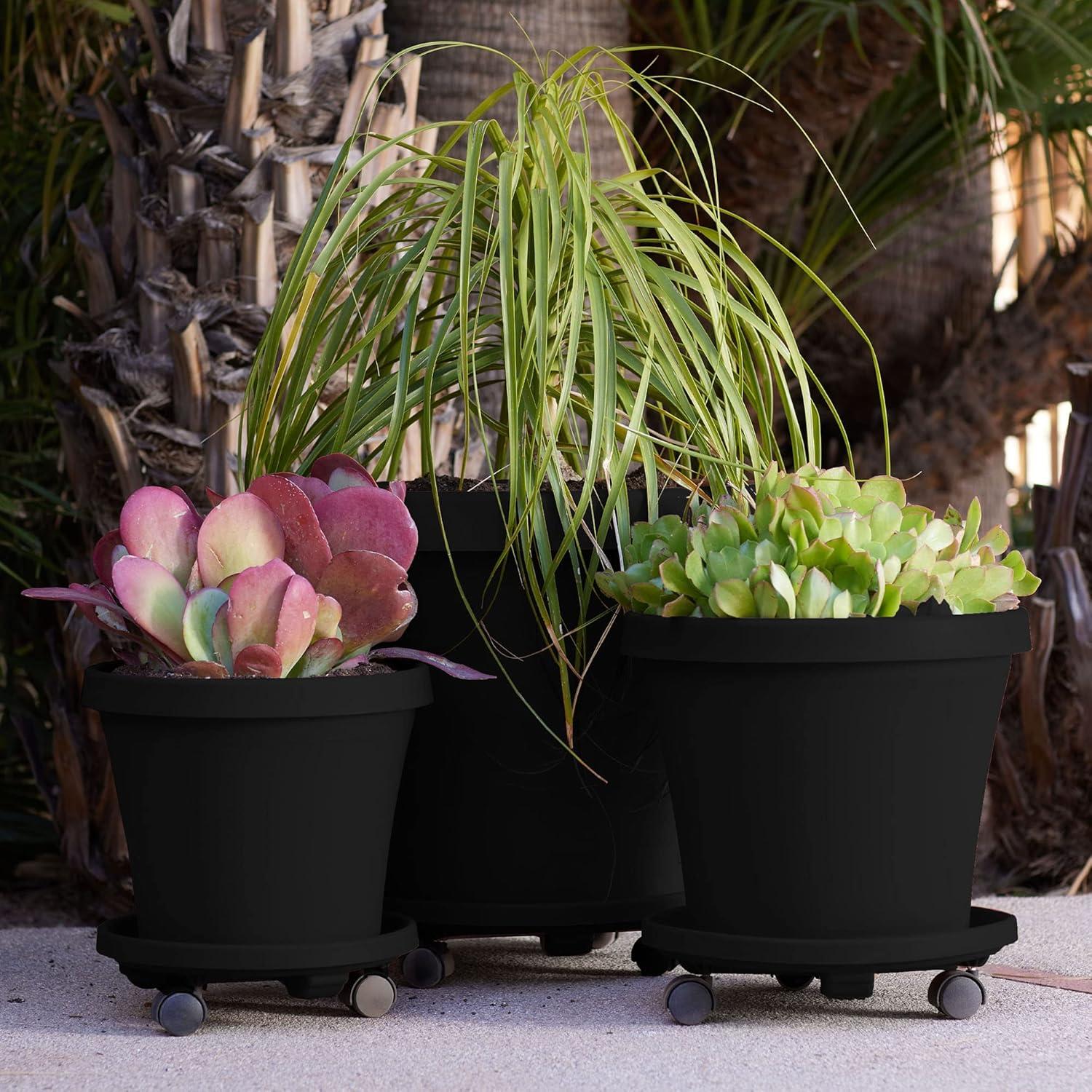 Bloem 16-in Round Planter Caddy With Wheels - Black - 125 lb Capacity