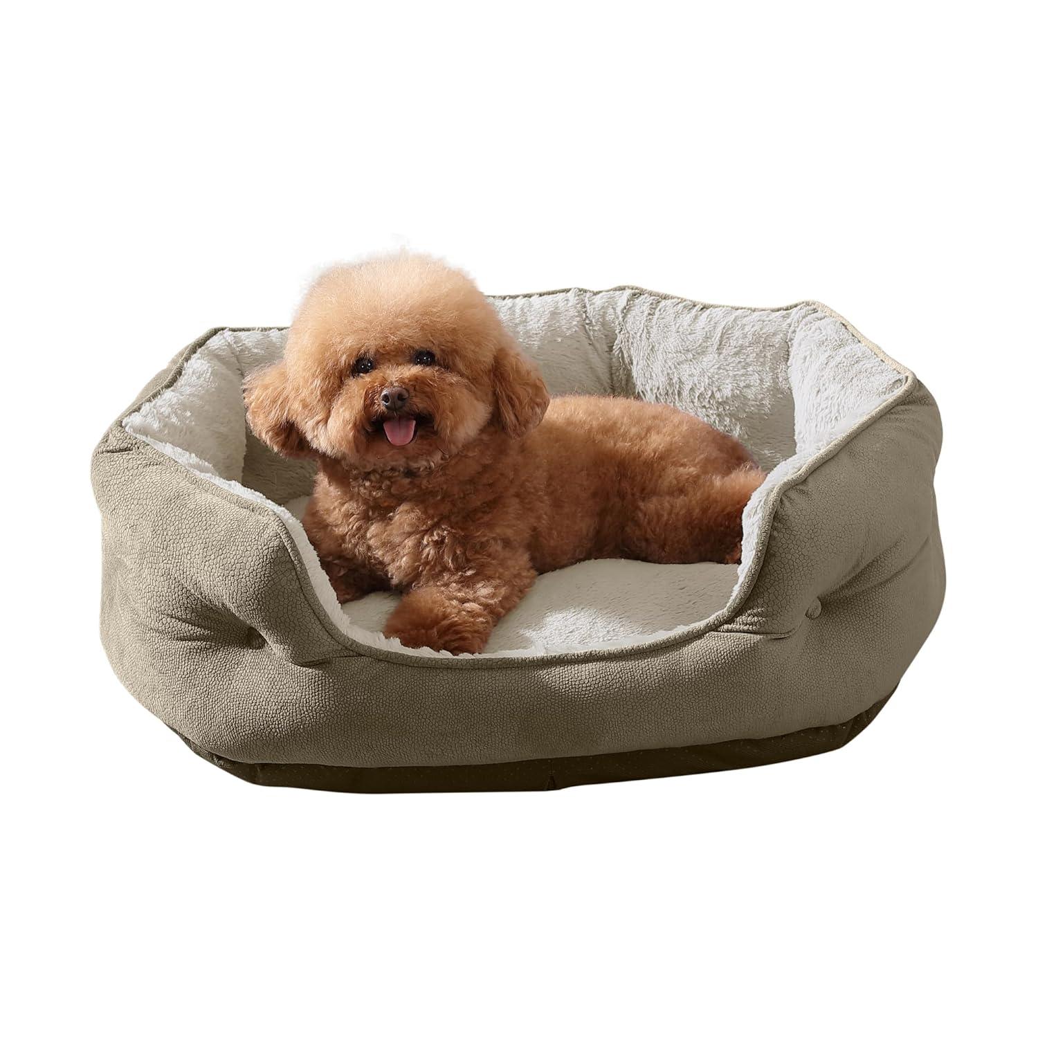 Arlee Home & Pet Step In Orthopedic Chew Resistant Eco-Friendly Memory Foam Dog Bolster Bed - Black - L