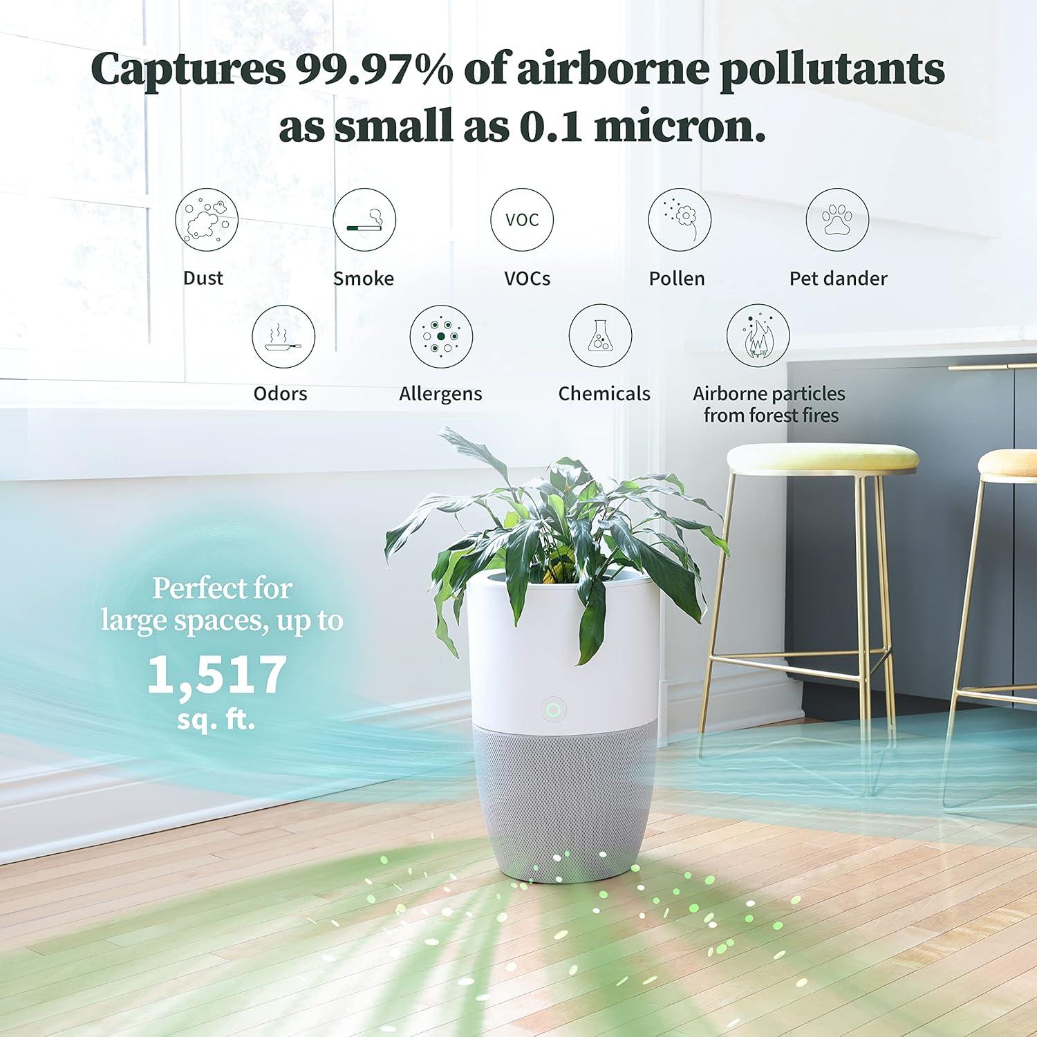 Dupray Bloom™ Air Purifier | Smart Medical-Grade HEPA-13 Air Filtration With Integrated Planter