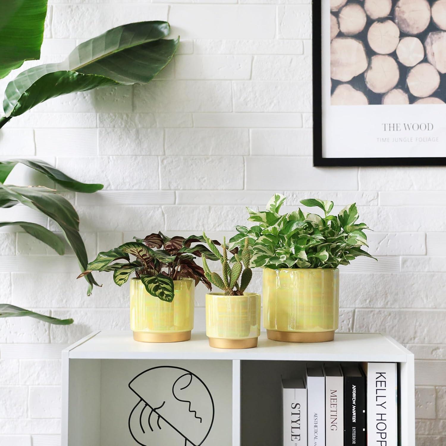 Gepege Indoor Pots for Plants, Ceramic Planter with Drainage Hole, 6.0 inch+5.0 Inch+4.0 Inch. Succulent Orchid Flower Pot - Rainbow Pearl Glaze