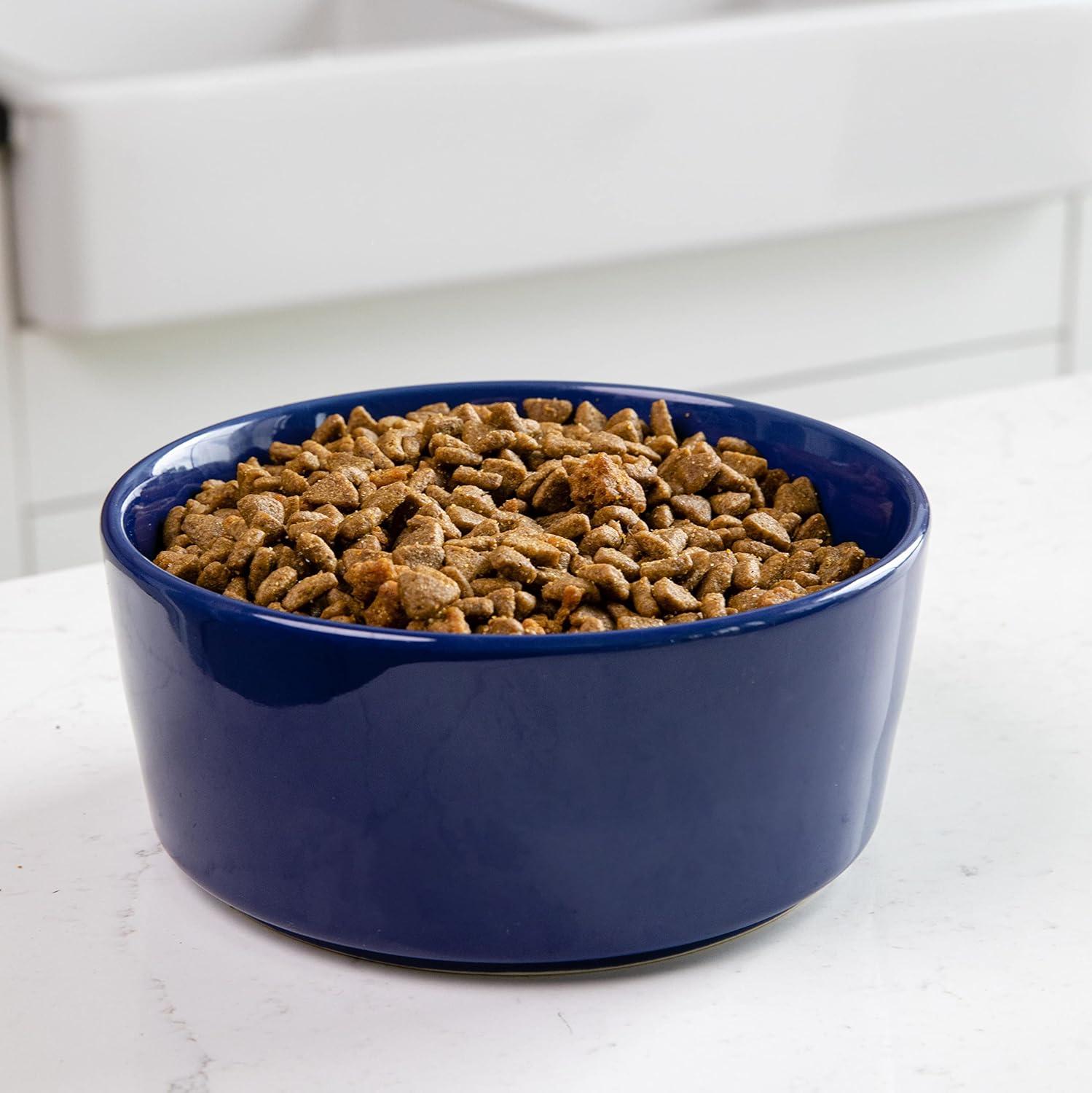 Pet Bowl