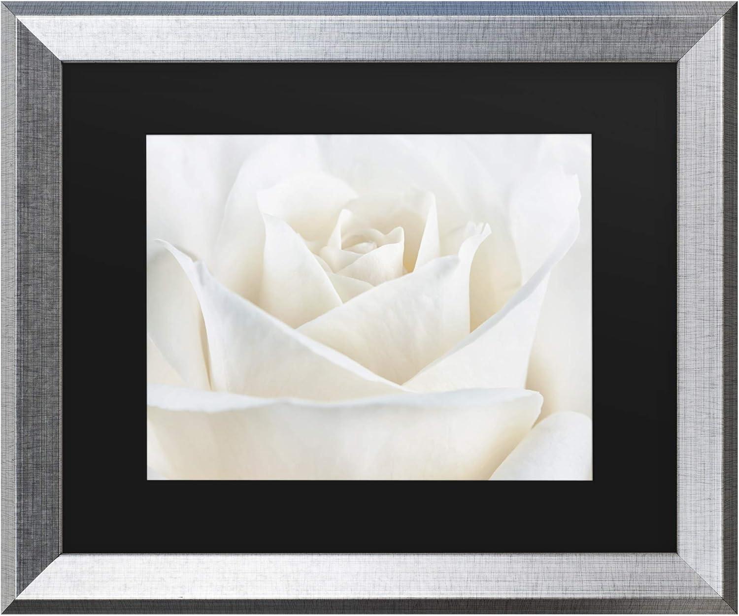 Pure White Rose Black Matted Silver Framed Photography Print