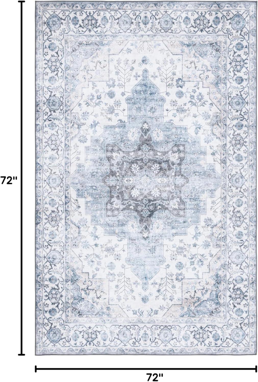 Arizona ARZ123 Power Loomed Machine Washable Area Rug  - Safavieh