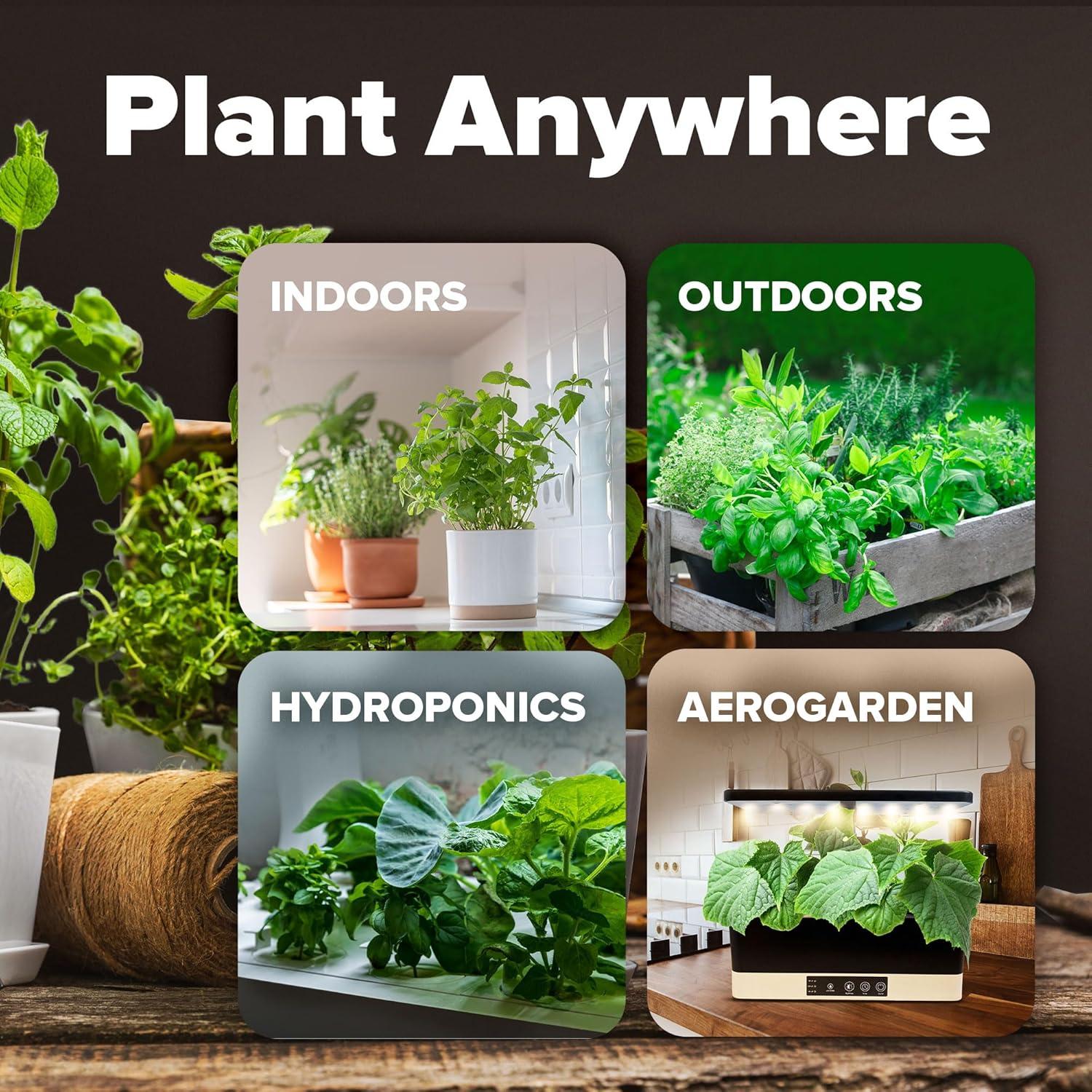 Heirloom Vegetable Seeds -10 Variety - Non GMO Vegetable Seeds For Planting Indoor or Outdoors, Brussel Sprouts, Carrots, Peppers, Cucumber, Kale, Romain, Peas, Radish, Tomato Seed - Home Garden Seeds