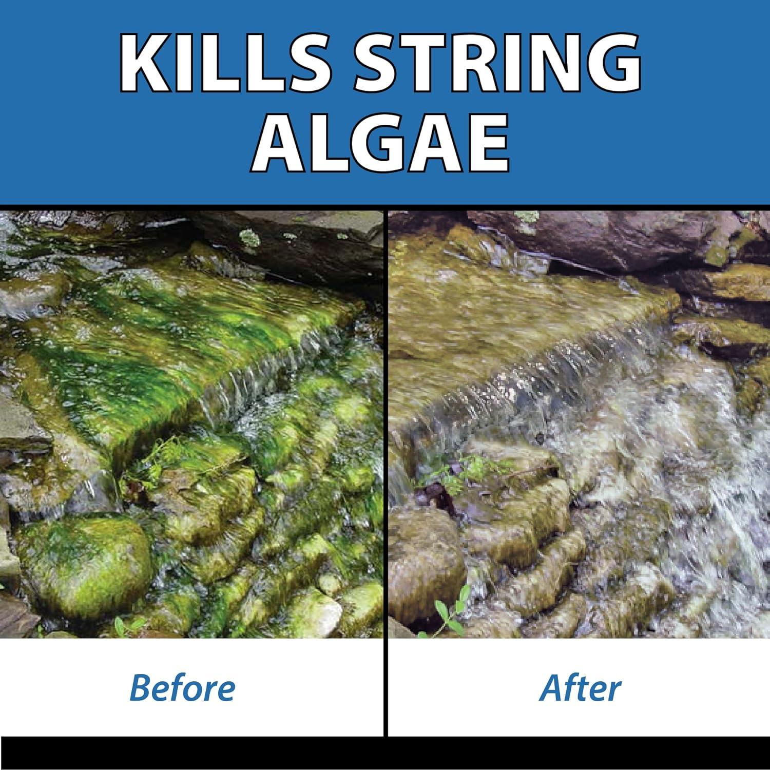 CrystalClear AlgaeOff Pond & Water Garden Scum Cleaner, Waterfall & Rock Slime Remover, String Algae Killer, Green Stain Treatment, EPA Registered Algaecide, Plant, Koi Fish, Bird & Pet Safe, 8 lbs