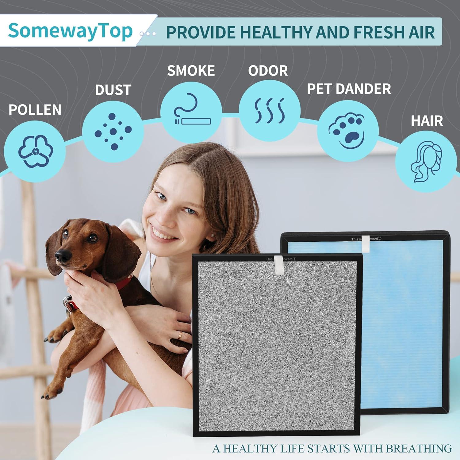 2pcs HSP001 Air Purifier HEPA Filter for HSP001 Smart Purifiers H13 True HEPA Filters Replacements