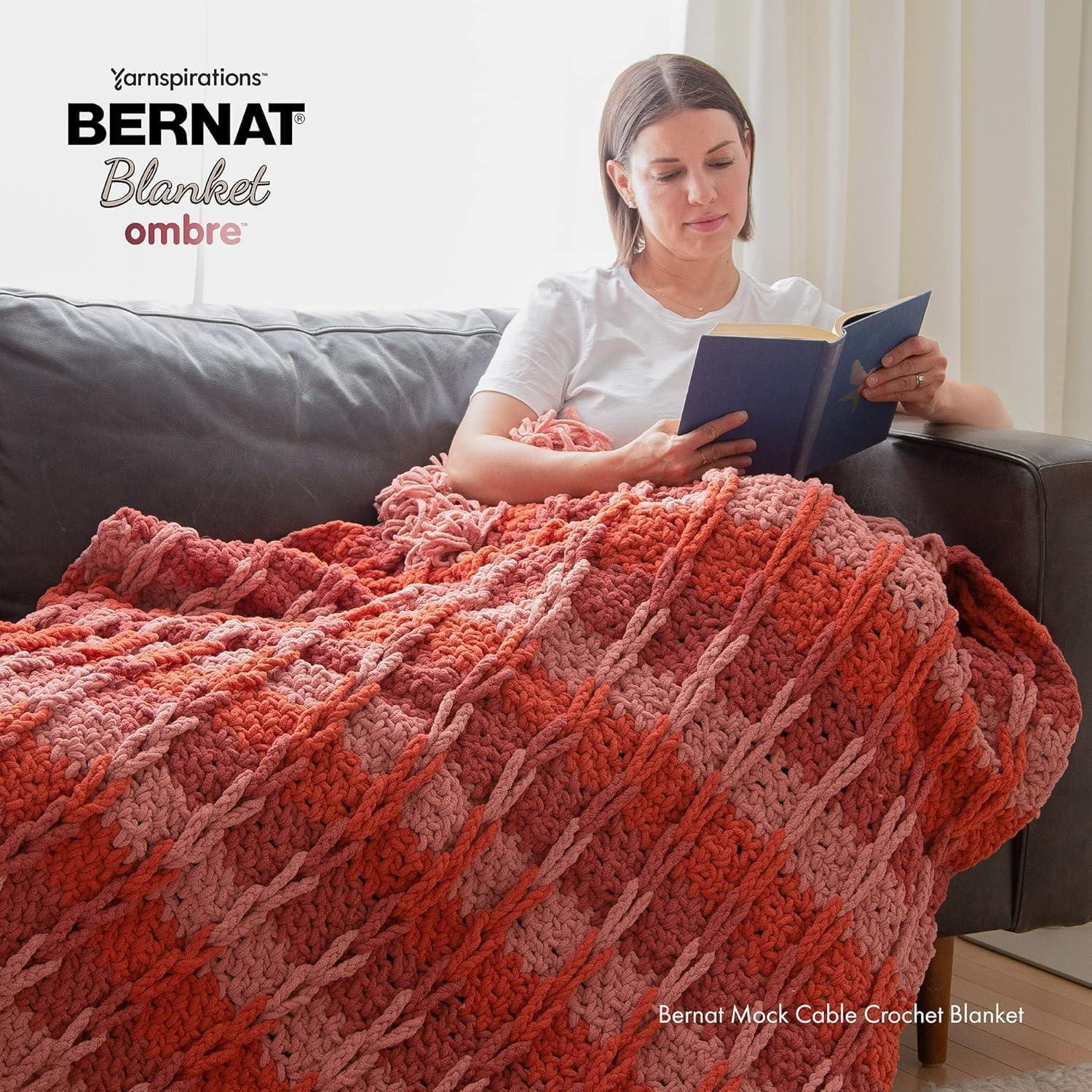 Spinrite 161036-36009 Bernat Blanket Ombre Yarn, Purple