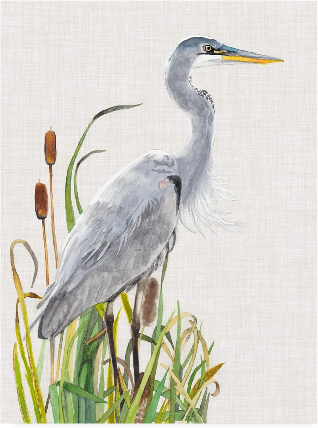 Trademark Fine Art -Naomi Mccavitt 'Water Birds And Cattails I' Canvas Art