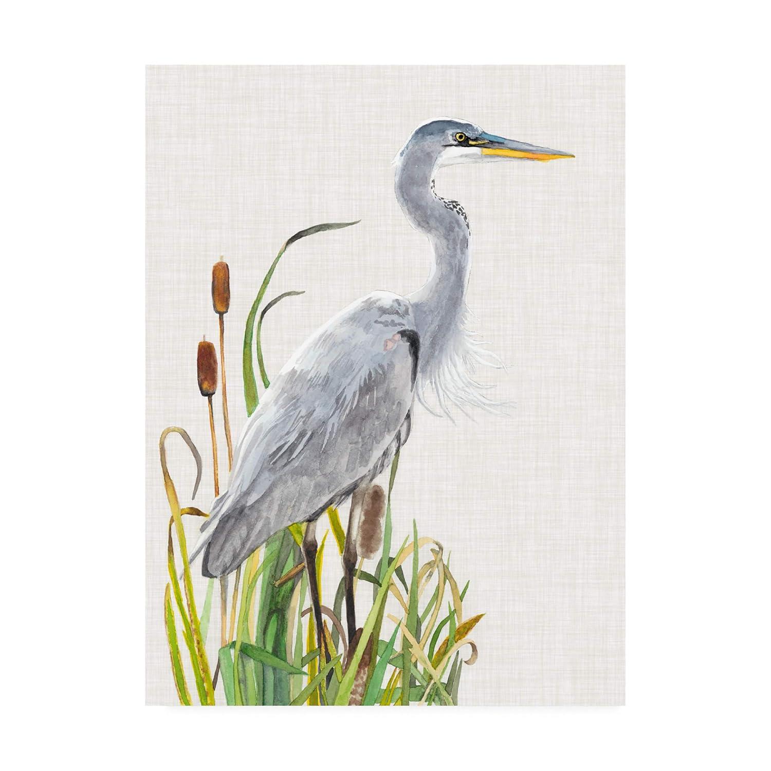 Trademark Fine Art -Naomi Mccavitt 'Water Birds And Cattails I' Canvas Art