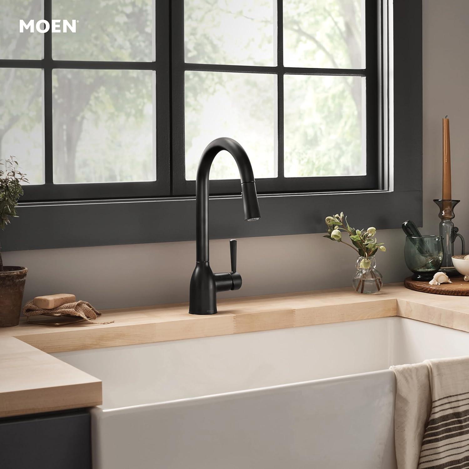 Moen Adler Pull Down Single Handle Kitchen Faucet with Accessories 87233BL
