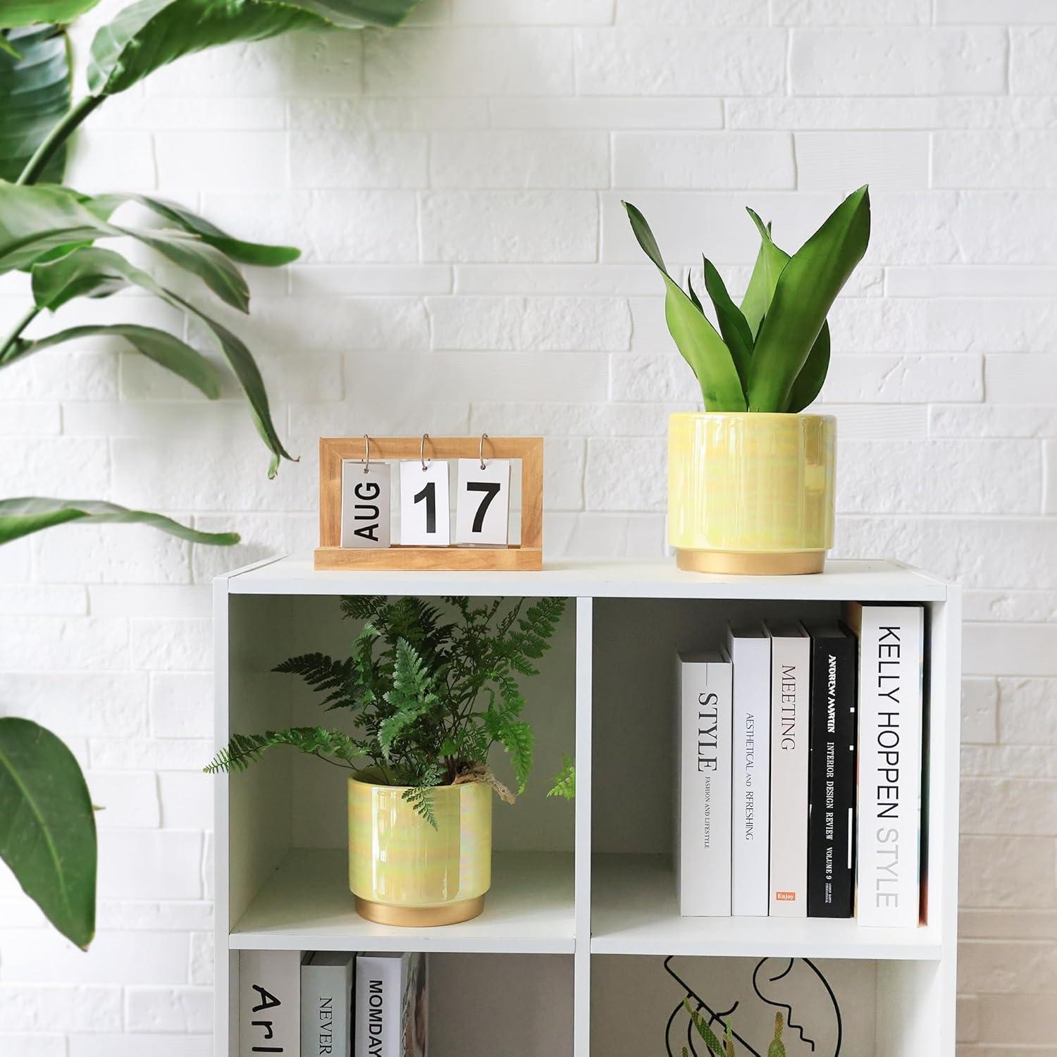 Gepege Indoor Pots for Plants, Ceramic Planter with Drainage Hole, 6.0 inch+5.0 Inch+4.0 Inch. Succulent Orchid Flower Pot - Rainbow Pearl Glaze