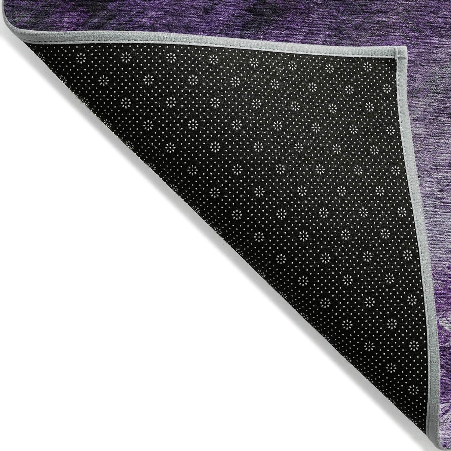 Addison Rugs Chantille Indoor/Outdoor Transitional Modern Purple Washable Rectangle Rug, 5' x 7'6"