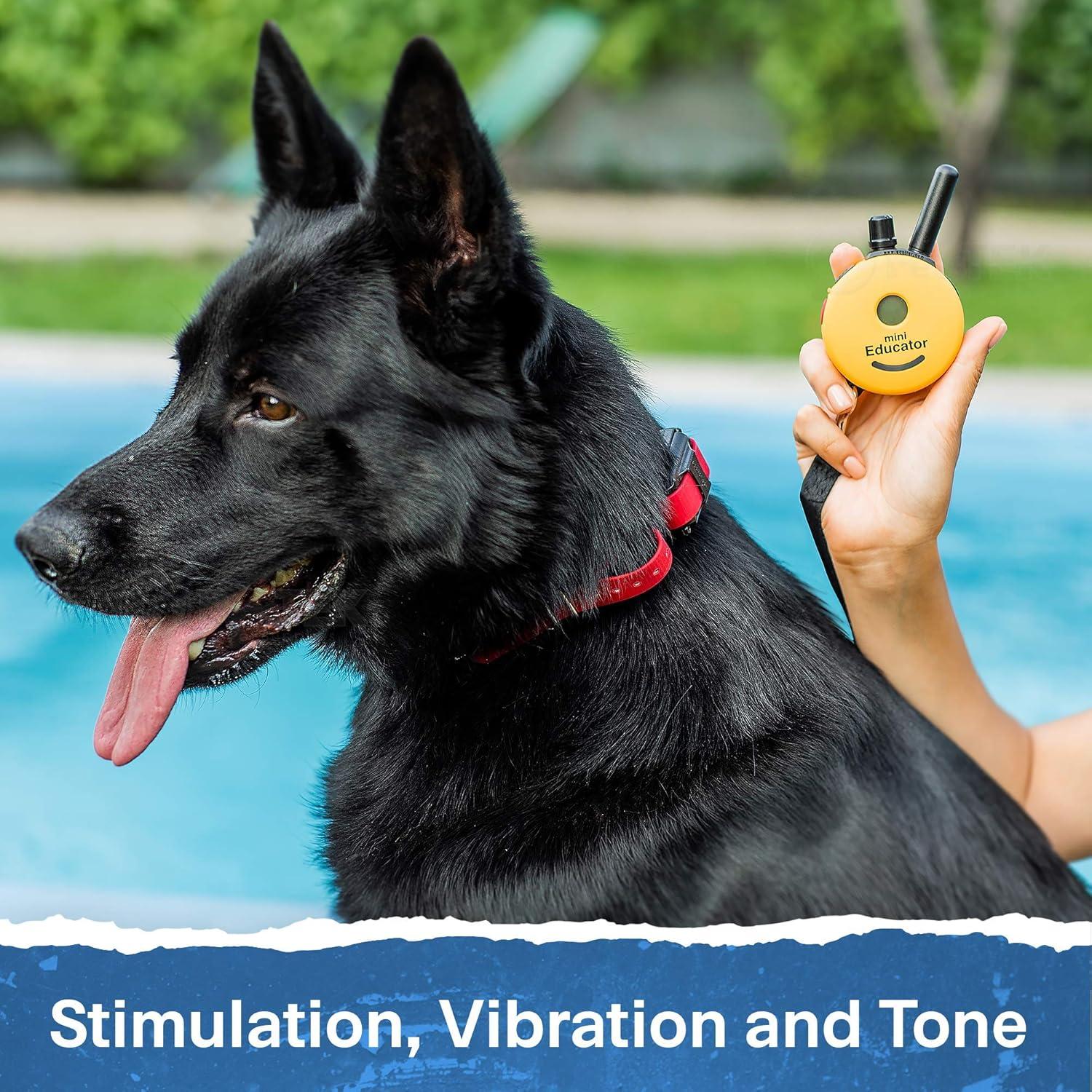 E-Collar ET-300 Mini Educator Dog Training Collar Bundle + PetsTEK Dog Clicker – 1/2 Mile Range, Waterproof, 100 Levels with Vibration & Tone