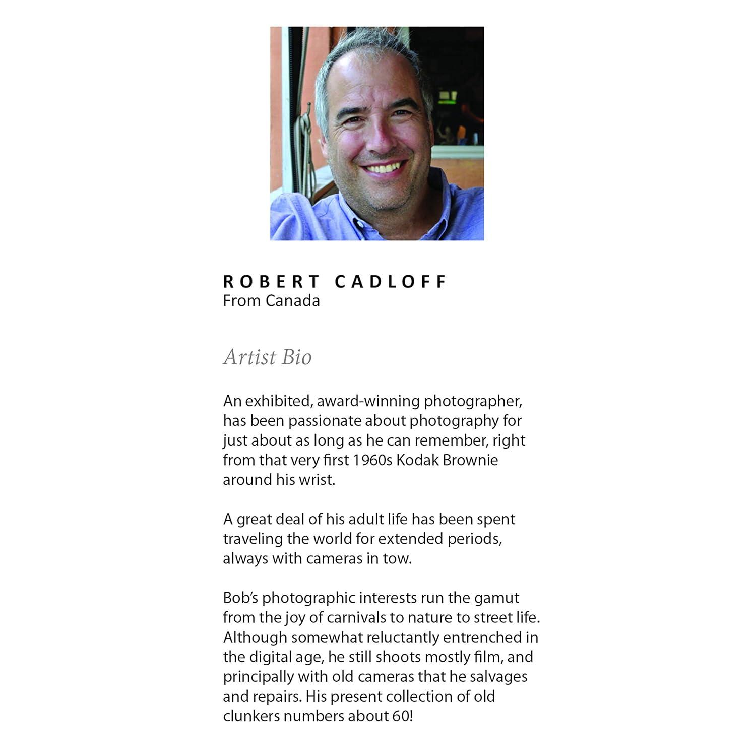 18" x 24" Sylvie Records Framed Canvas by Robert Cadloff - Kate & Laurel: Vinyl Collection Wall Art