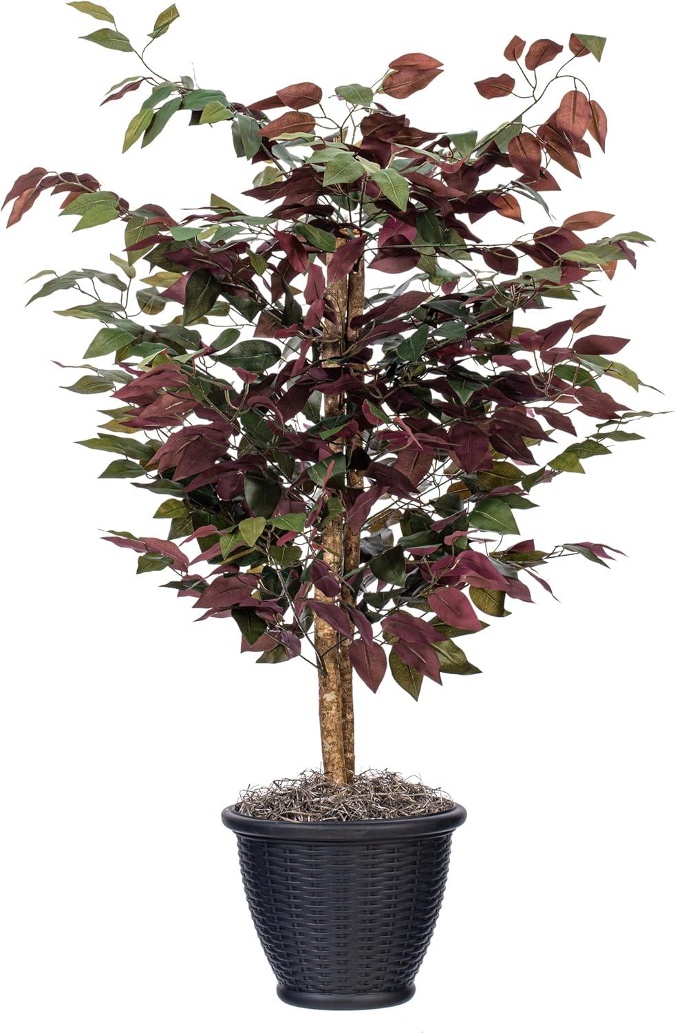 Vickerman 4' Artificial Capensia Bush, Gray Round Plastic Container. In a 12"Lx12"Wx9"H base.
