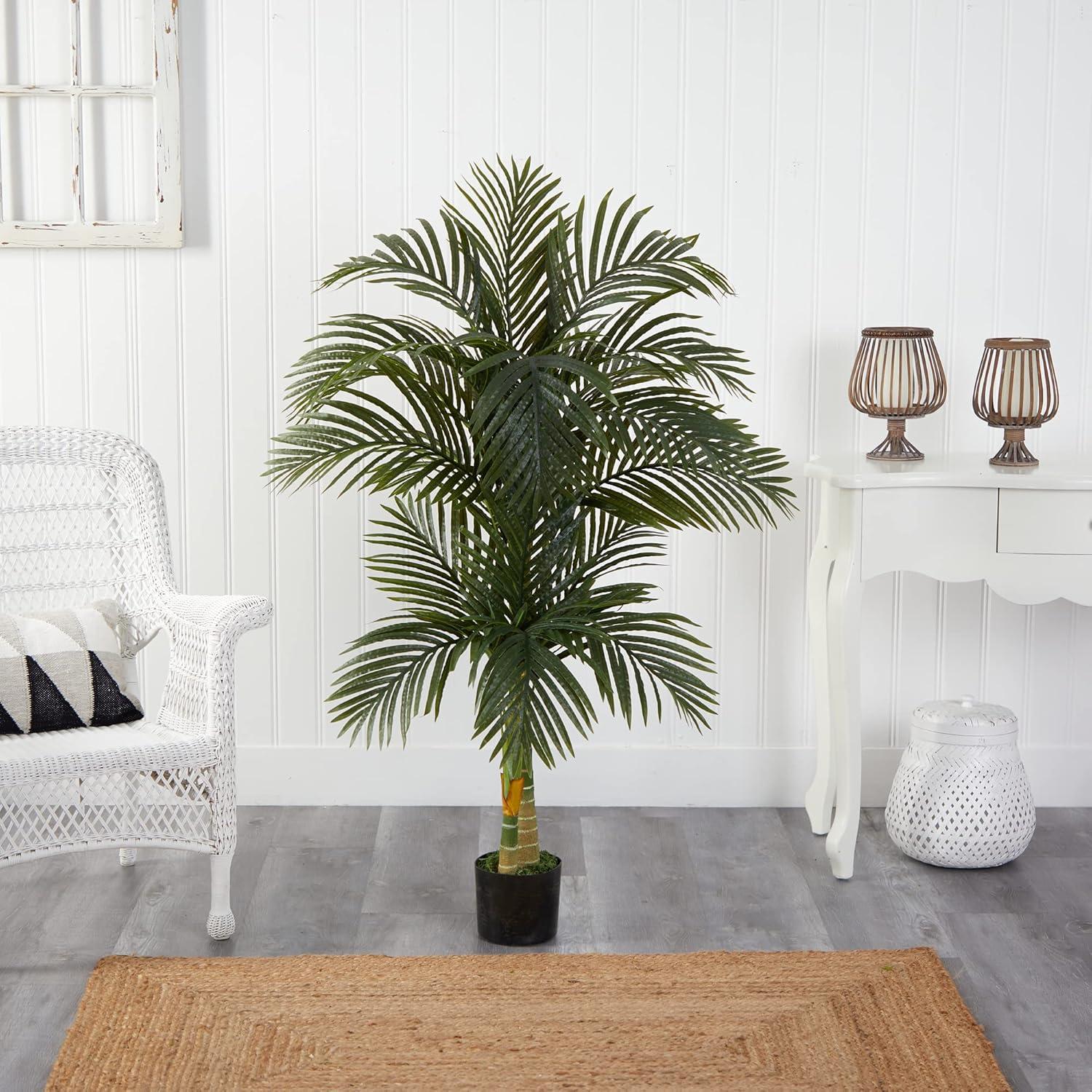 5.5ft Green Silk Double Robellini Palm Tree