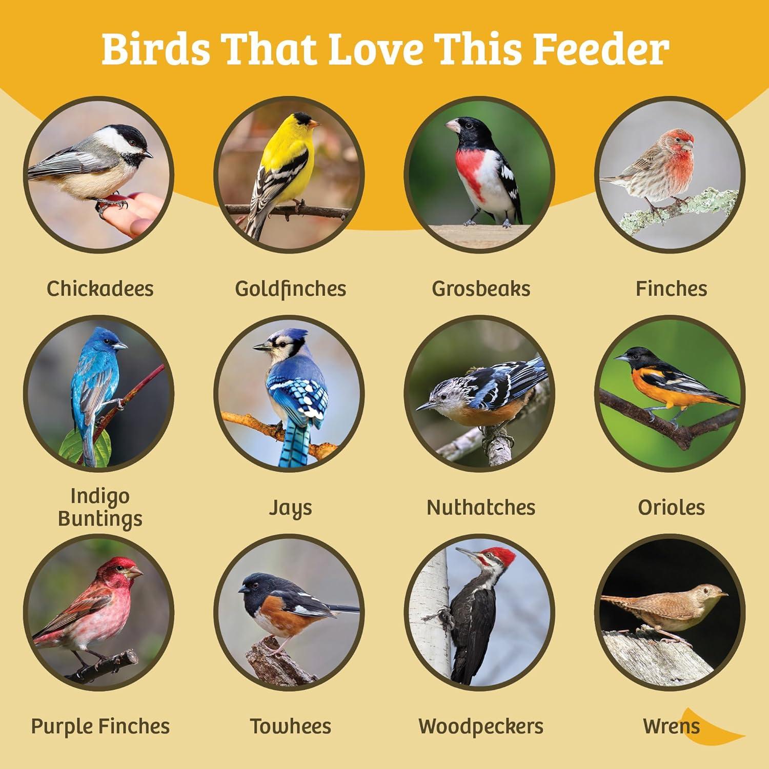 Birds Choice Birds Choice 12" Recycled Single Cake Tail Prop Suet Feeder, Taupe/Green