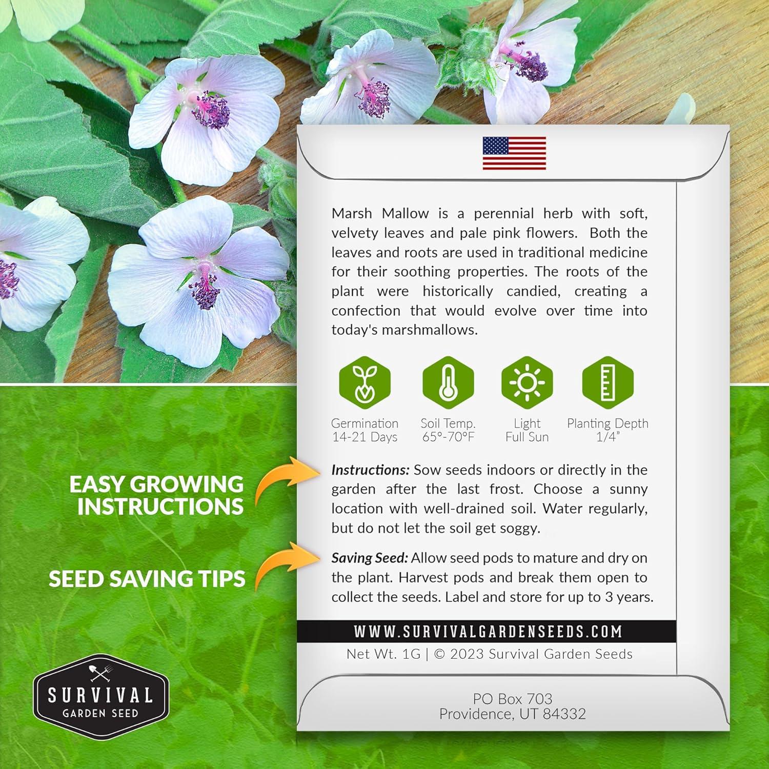 3 Packs Marsh Mallow Seed - Rare Medicinal Flowering Herbs - Non-GMO Heirloom Perennial Full Sun