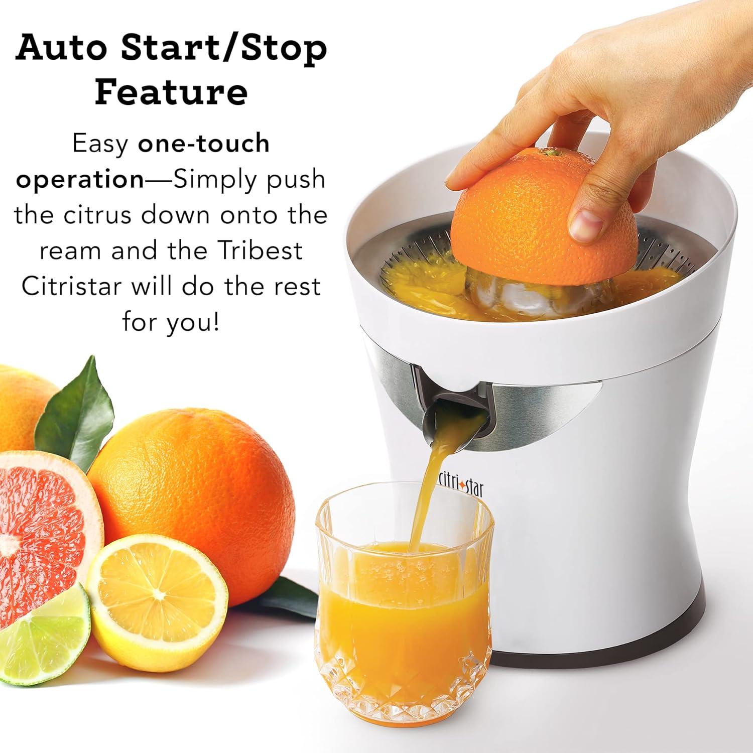 White Electric Stainless Steel Citrus Juicer