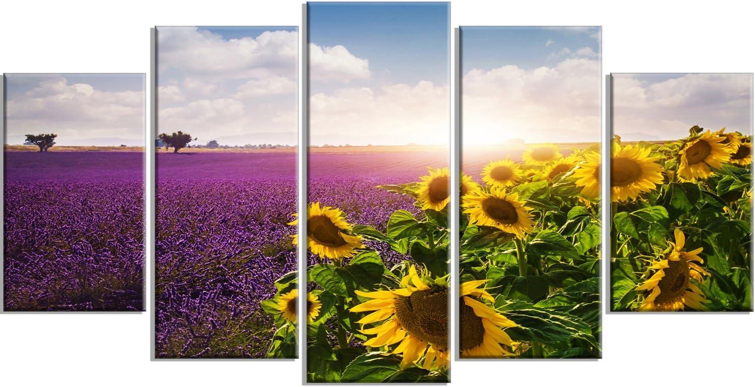 " Lavender And Sunflower Fields " 5 - Pieces