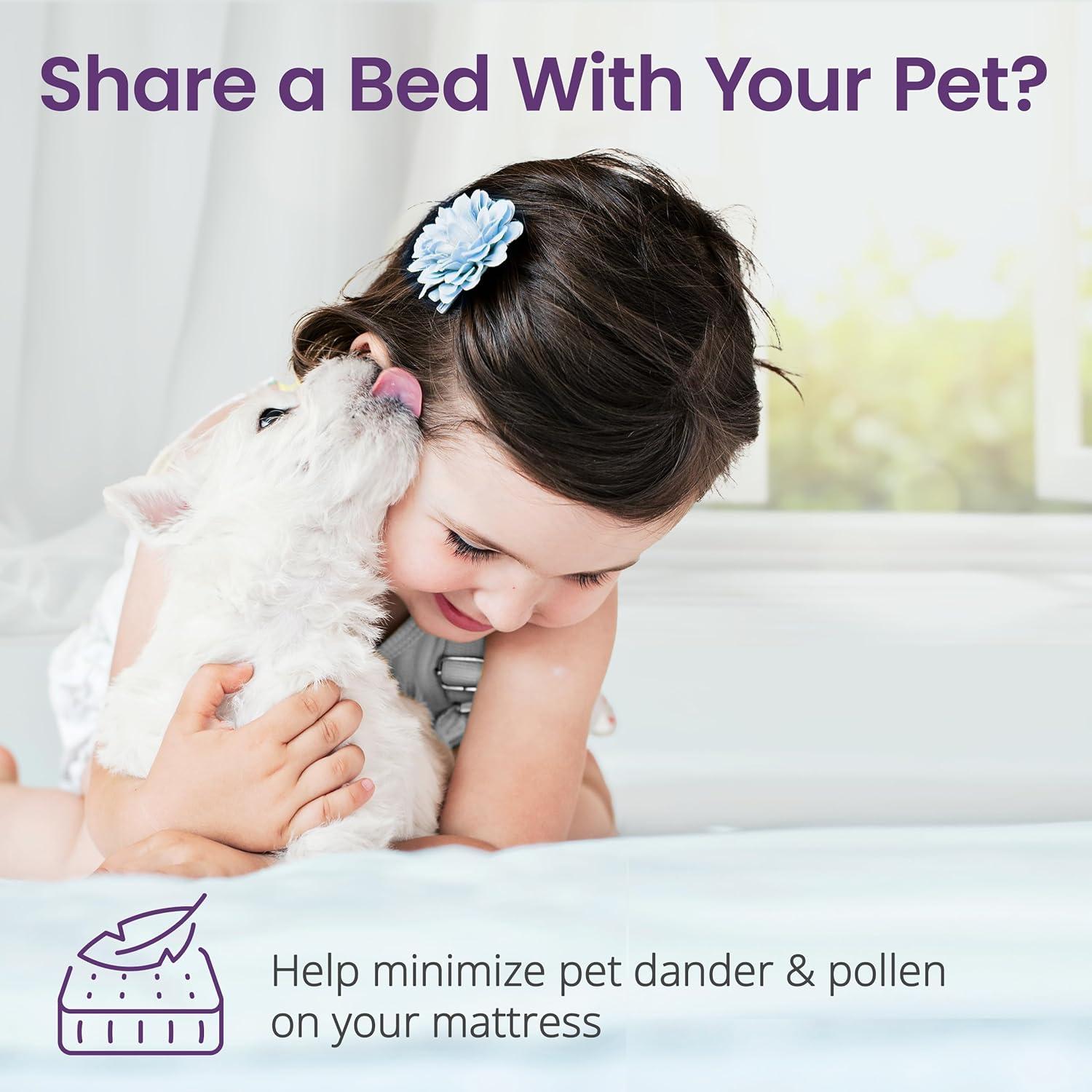 SafeRest CloudGuard - Twin Size Hybrid Mattress Protector & Pad (Extra Padded) - Waterproof Quilted Pillow Top Mattress Cover - Thick, Plush & Fitted Mattress Topper for Bed