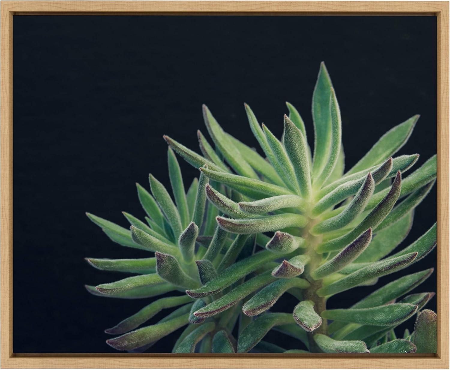 Natural Framed Canvas Print of Succulent 13, 18" x 24"