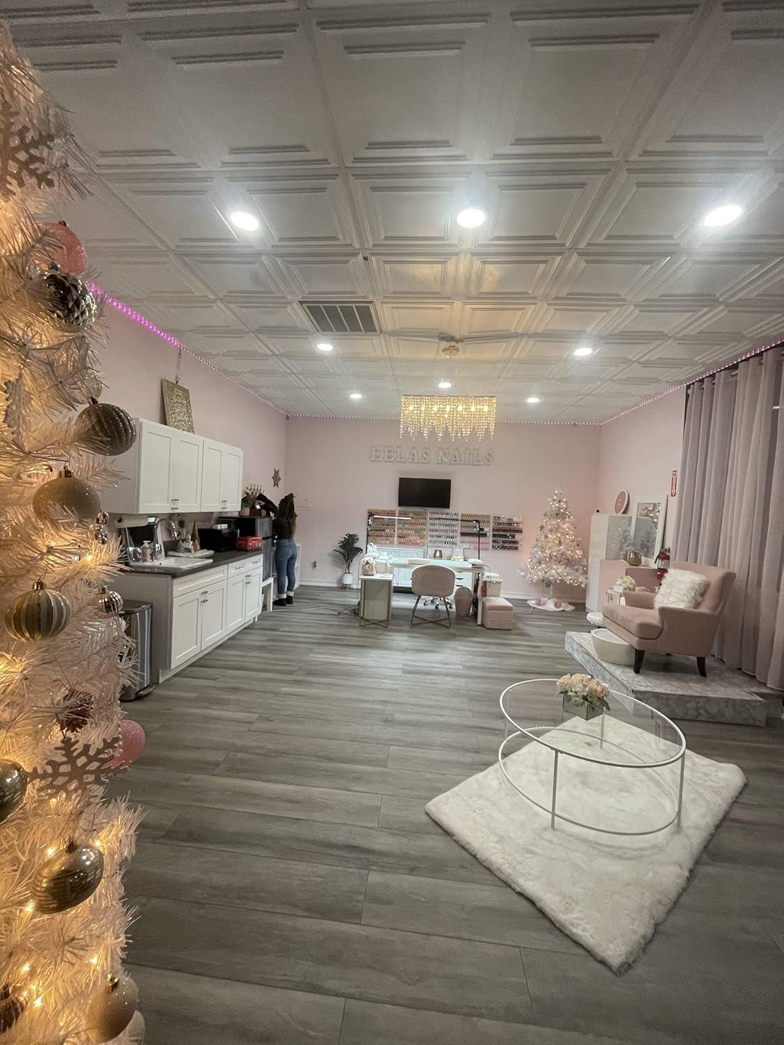 FromPlainToBeautifulInHours Economy Drop-In PVC Ceiling Tile (Set of 50)