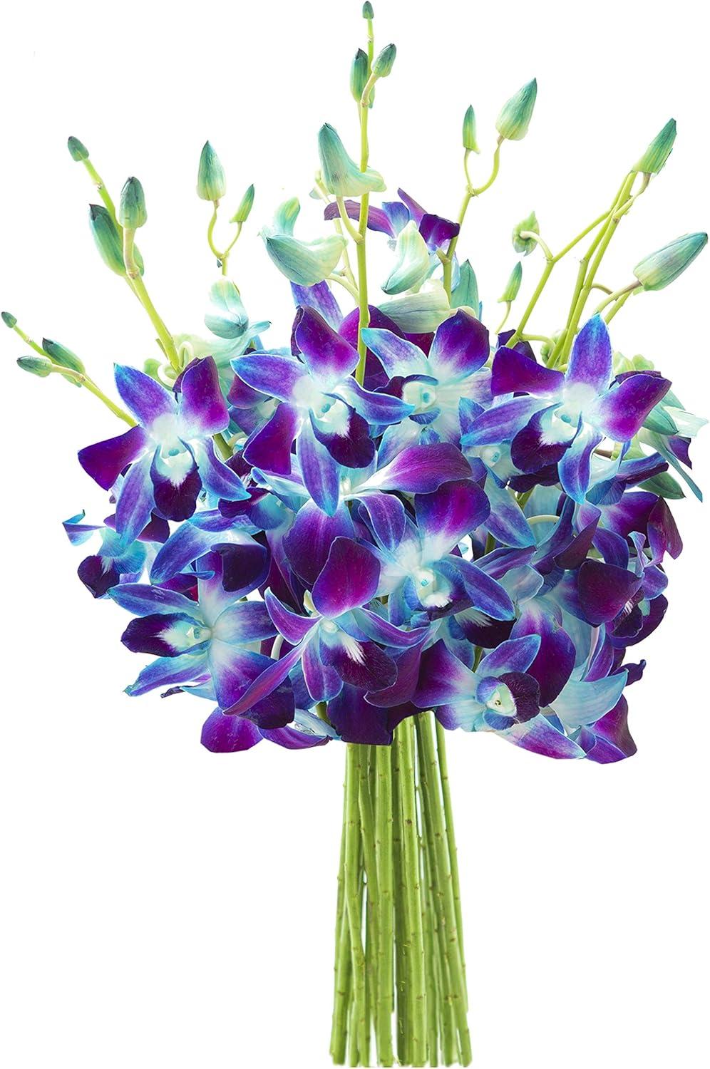KaBloom : Bouquet of Fresh 10 Blue Dendrobium Orchids, Next-Day Delivery.
