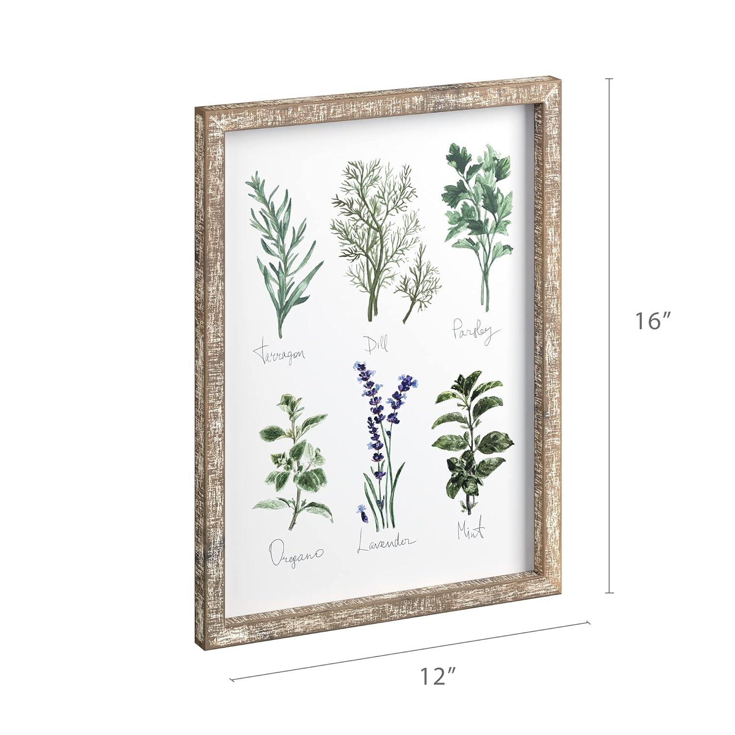 Barnyard Designs Kitchen Herbs and Spices Wall Art Decor Botanical Print Sign Rustic Country Farmhouse Wood Plaque Framed Home Wall Decor 12" x 16" (Herbs B / 1 Sign)
