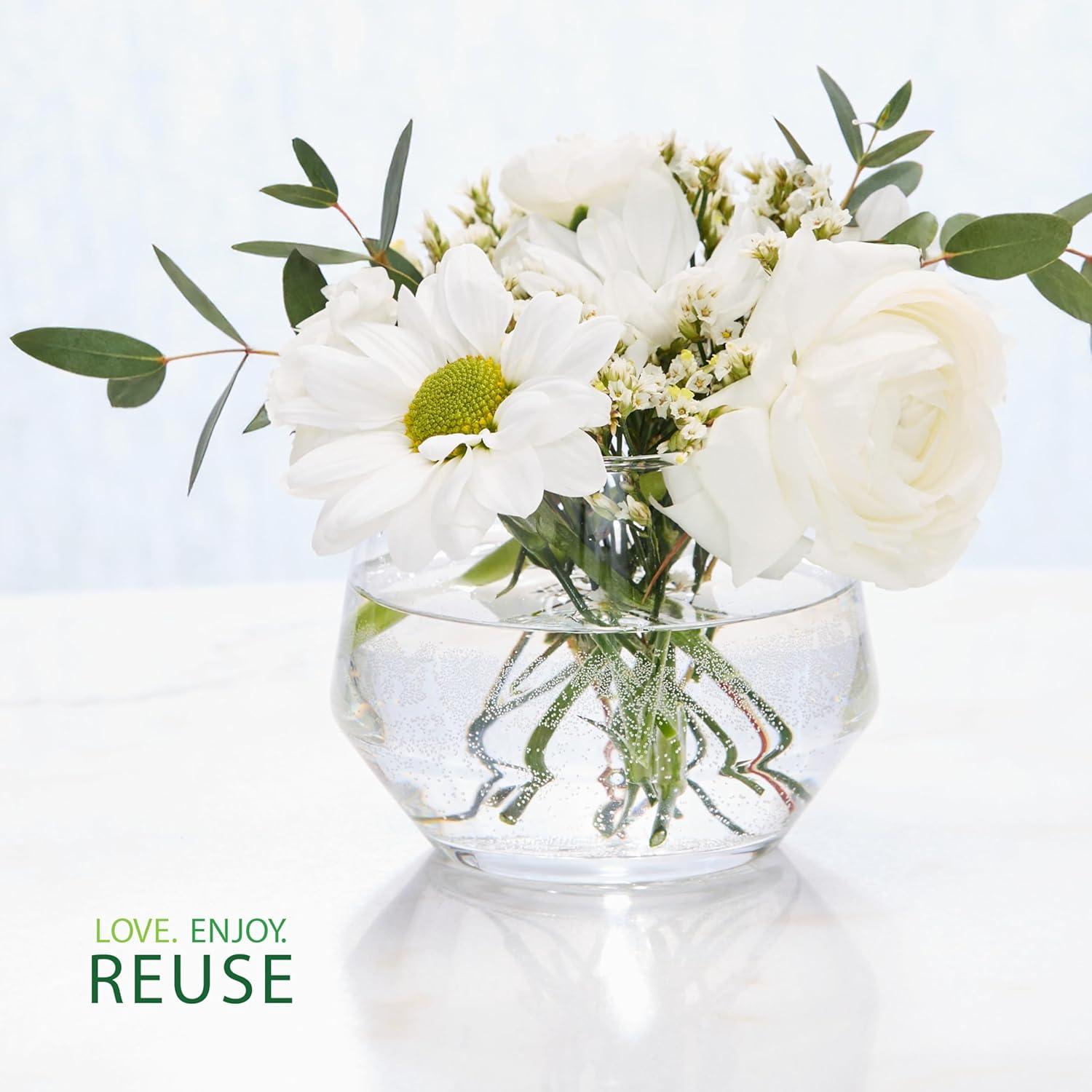 Yankee Candle Studio Scented Candle, Vanilla Crème Brûlée, Premium Plant Wax Blend, 10 oz Jar, Up to 50 Hour Burn Time