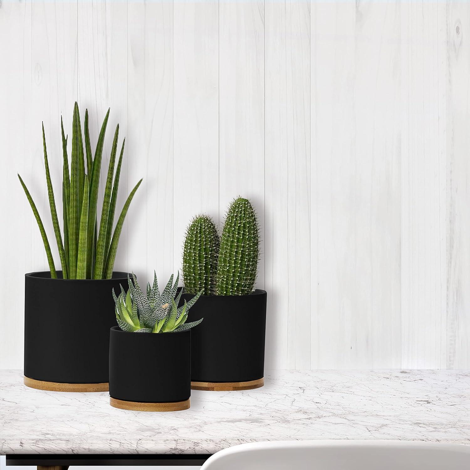 Olly & Rose Black Set 3 Ceramic Plant Pots with Bamboo Coasters Indoor Planters with Saucers