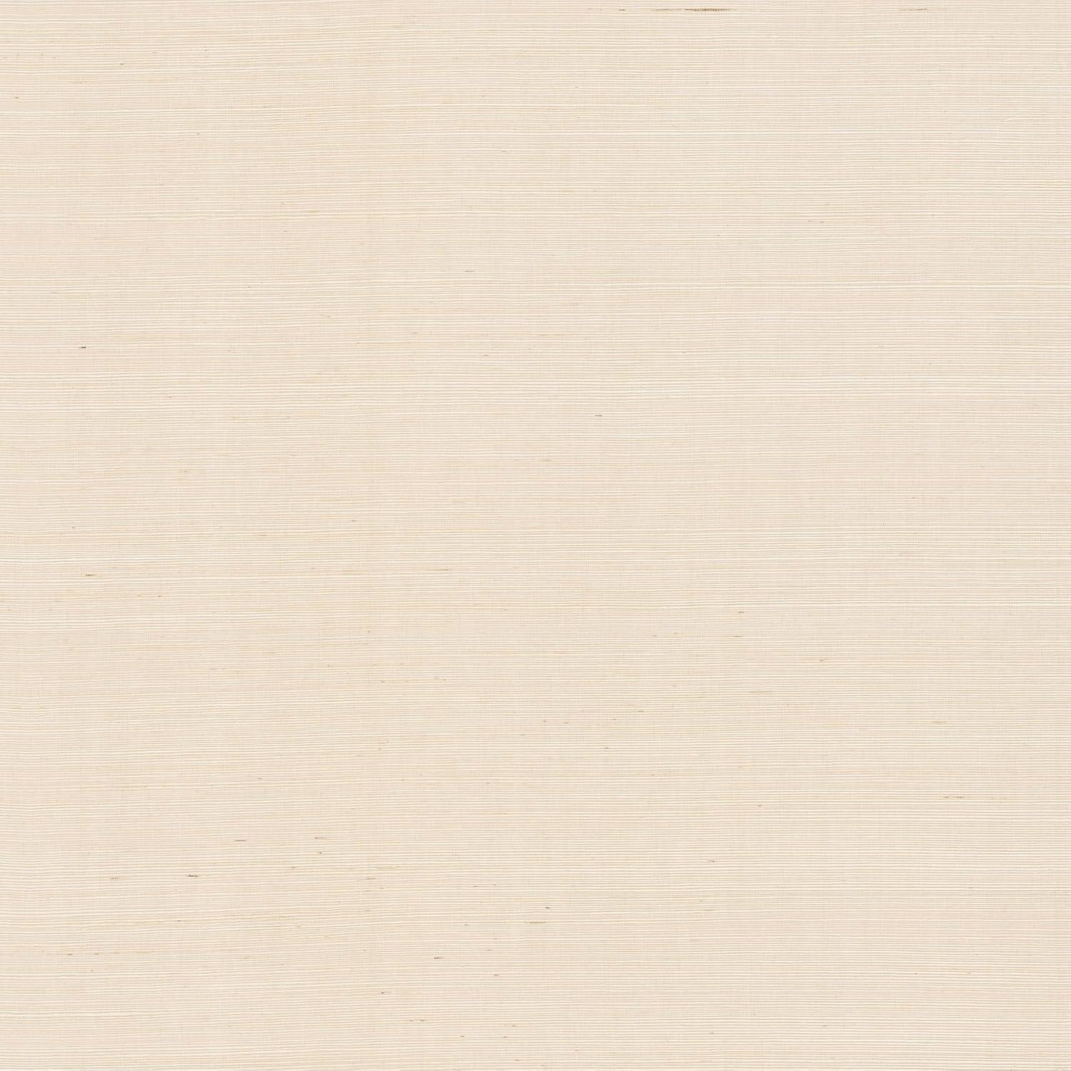 Birch Lane™ Weatherhill Natural Sisal Peel and Stick Grasscloth Wallpaper