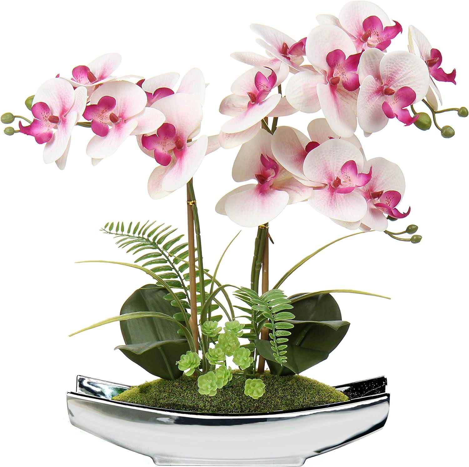 Light Pink Orchid in Silver Boat-Shaped Pot with Faux Moss