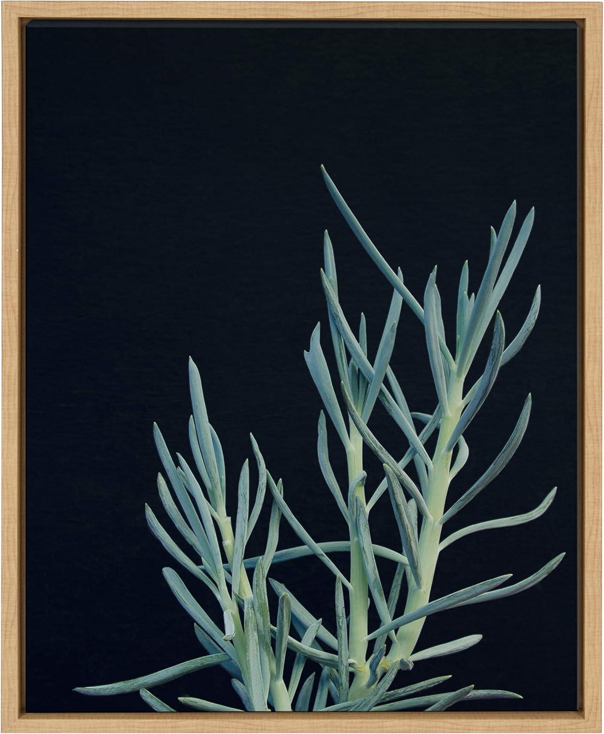 18" x 24" Sylvie Succulent 16 Framed Canvas by F2 Images Natural - Kate and Laurel