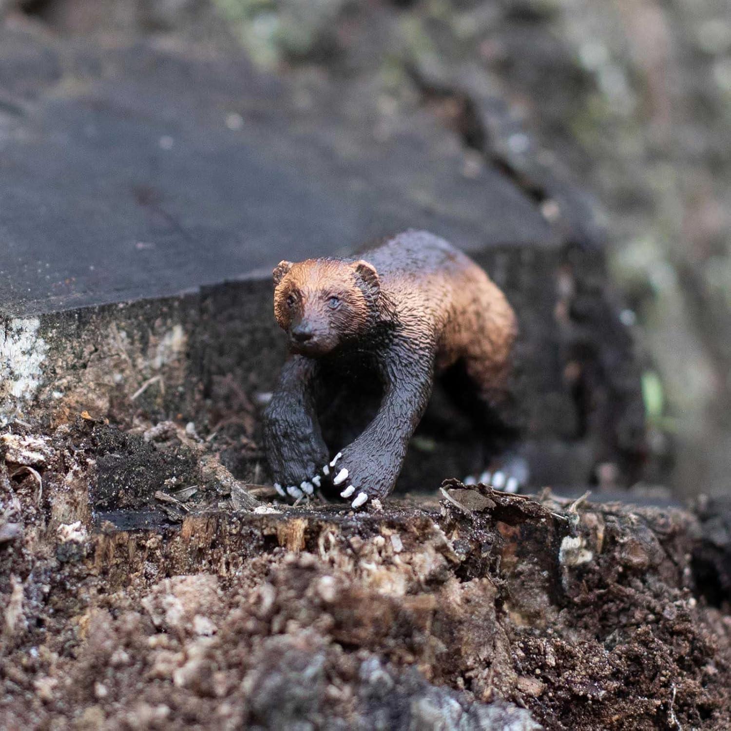 Safari Ltd. Wolverine Figurine - Lifelike 3.75" Model Figure - Educational Toy for Boys, Girls, and Kids Ages 3+