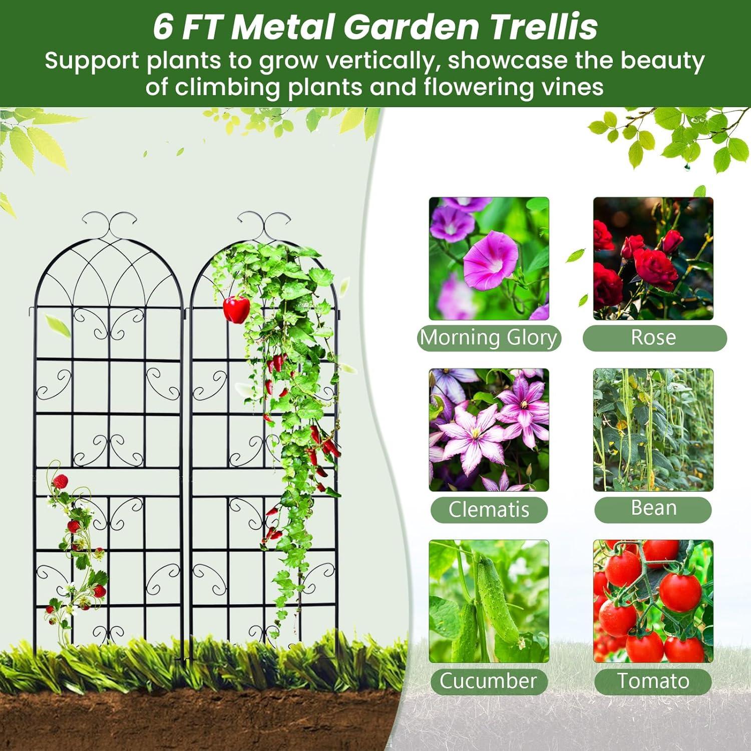 Black Galvanized Metal 6-Foot Garden Trellis Set