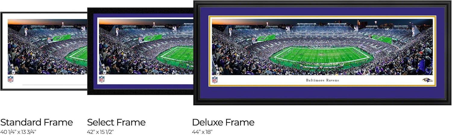 Blakeway Worldwide Panoramas, Inc " Baltimore Ravens " by James Blakeway