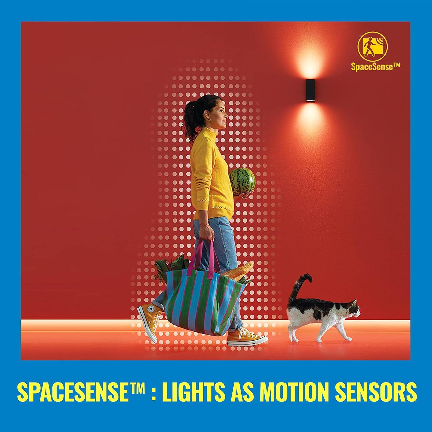 WiZ Connected Color G25 Color Filament LED Smart Bulb - Pack of 1-300 Lumen - E26, Indoor - Connects to Your Existing Wi-Fi - Control with Voice or App + Activate with Motion - Matter Compatible