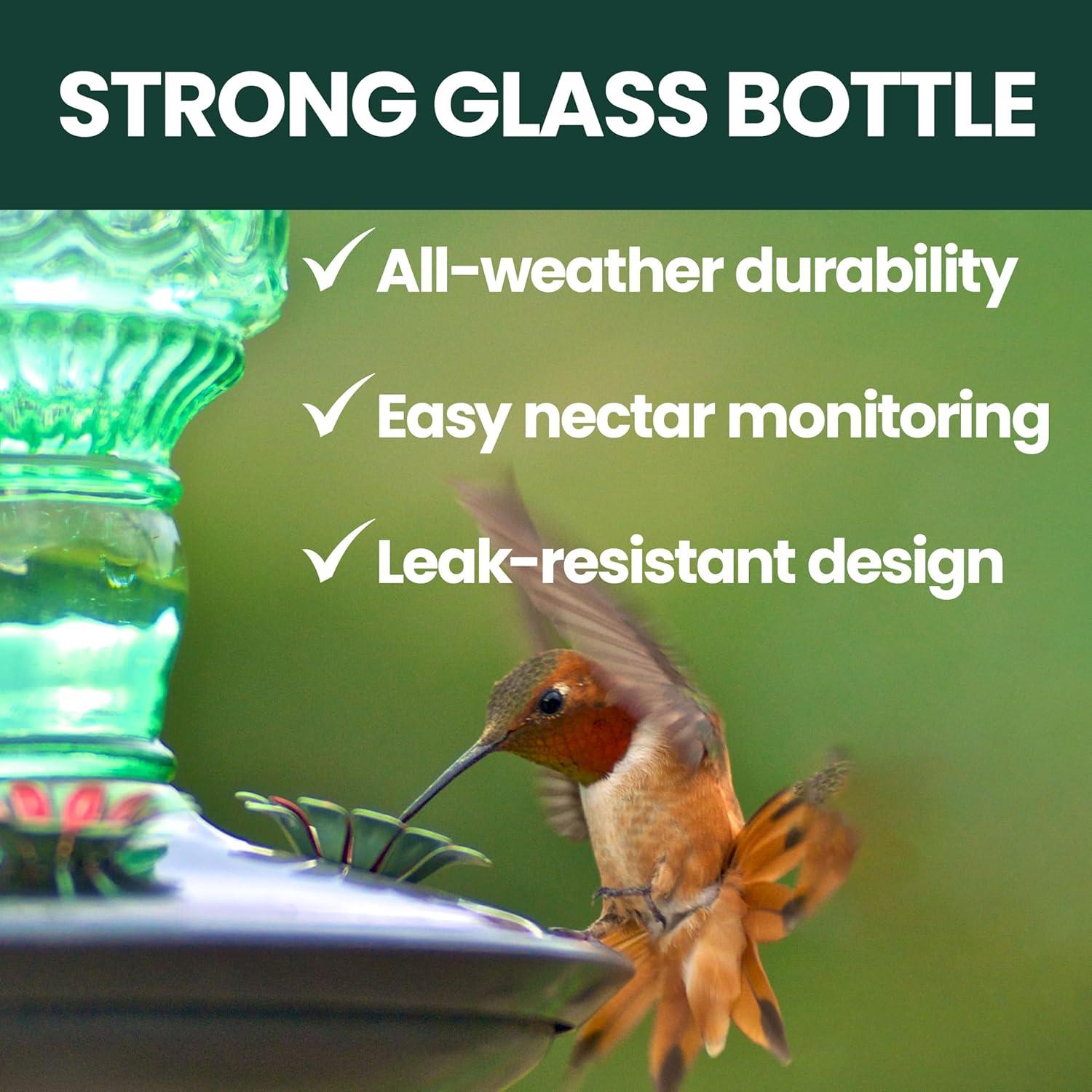 Woodstream Glass Hanging Soda Bottle Feeder